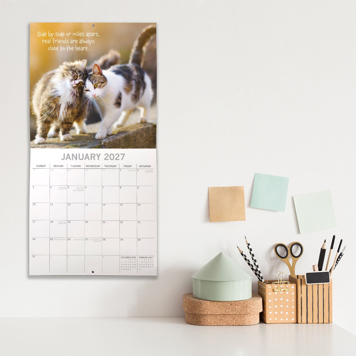 Best Friends 2027 Square Wall Calendar - Front cover featuring two cheetah cubs nuzzling with teal border design