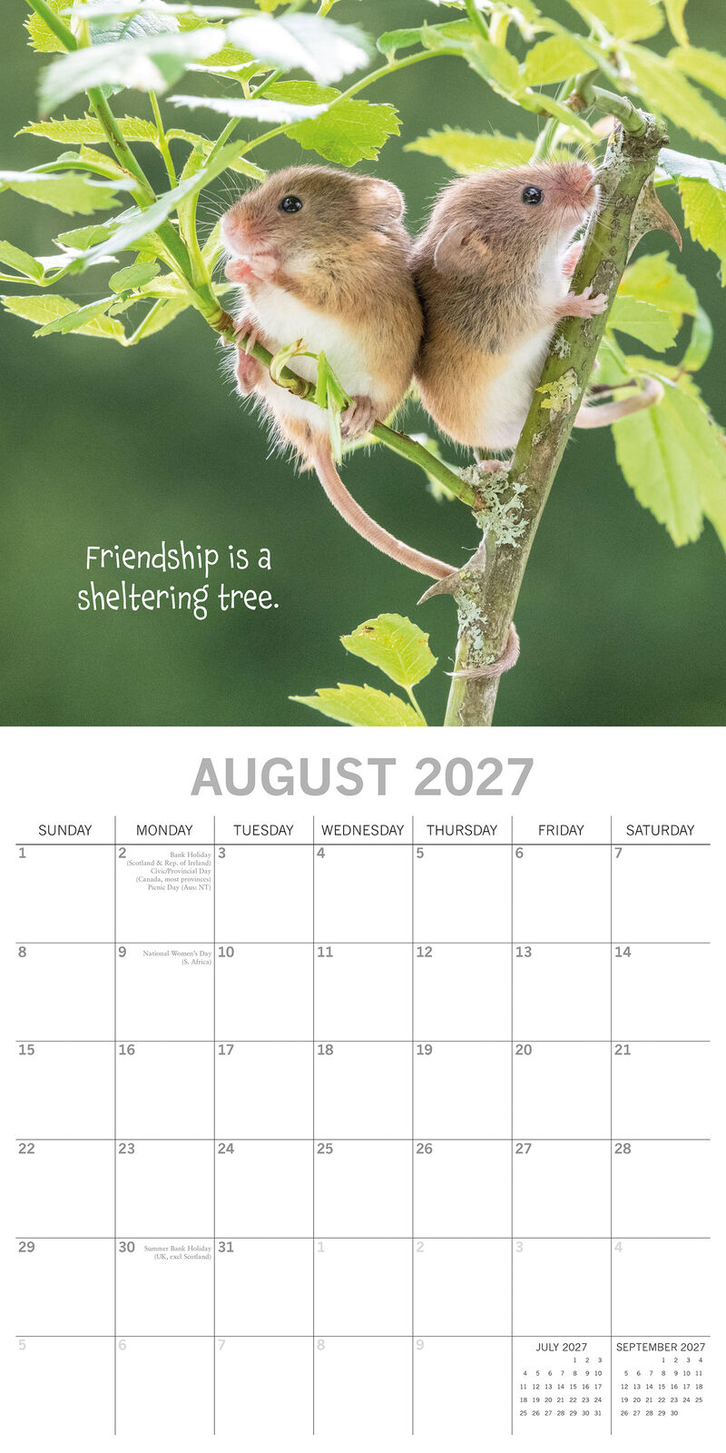Best Friends 2027 Square Wall Calendar - August 2027 month page with two harvest mice climbing a tree branch