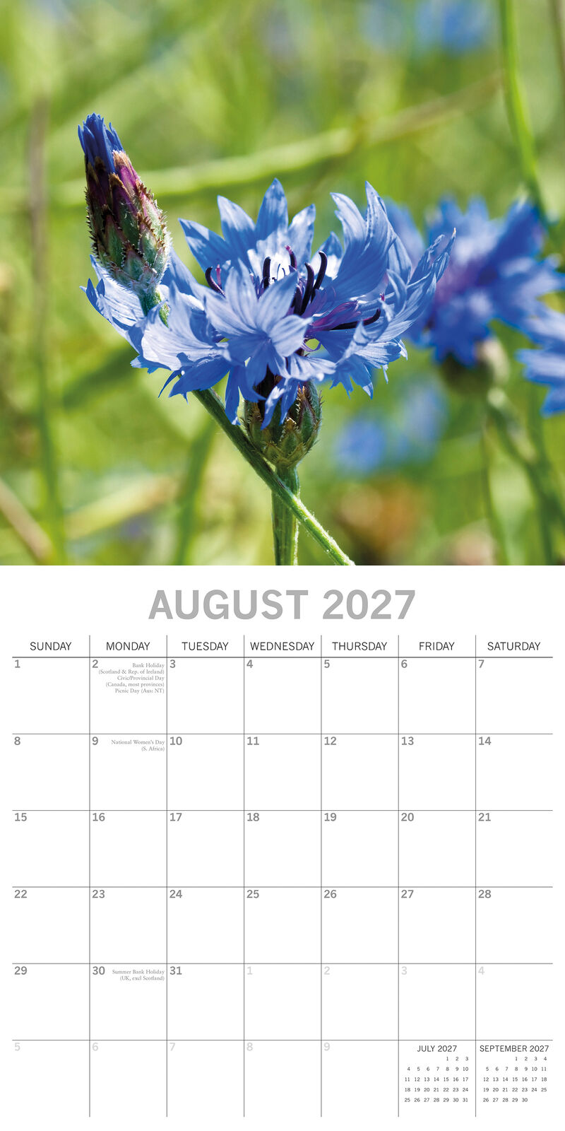 Beauty of Flowers 2027 Square Wall Calendar - Back cover showing 12 floral photography thumbnails