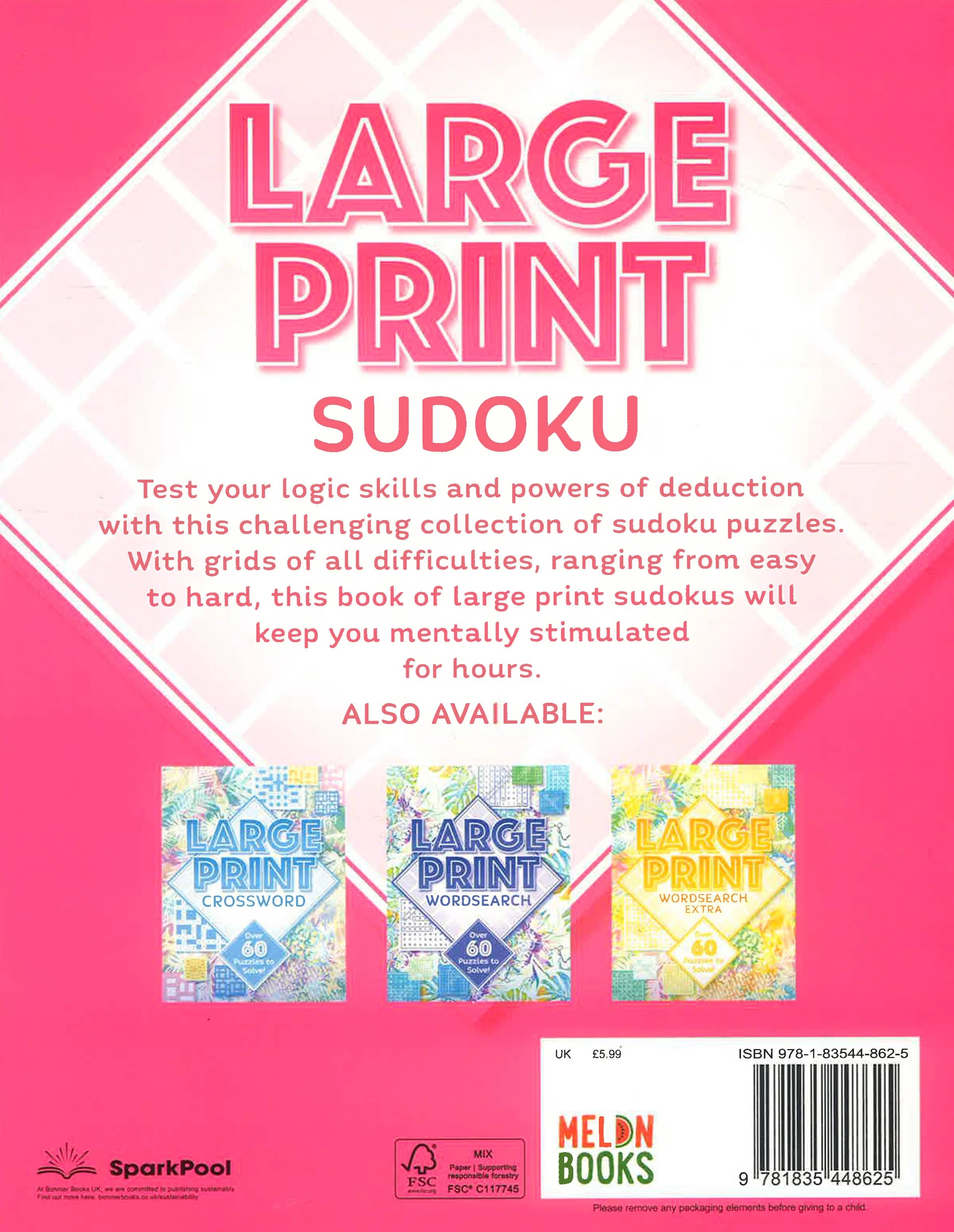 Large Print Sudoku Over 100 Puzzles to Solve
