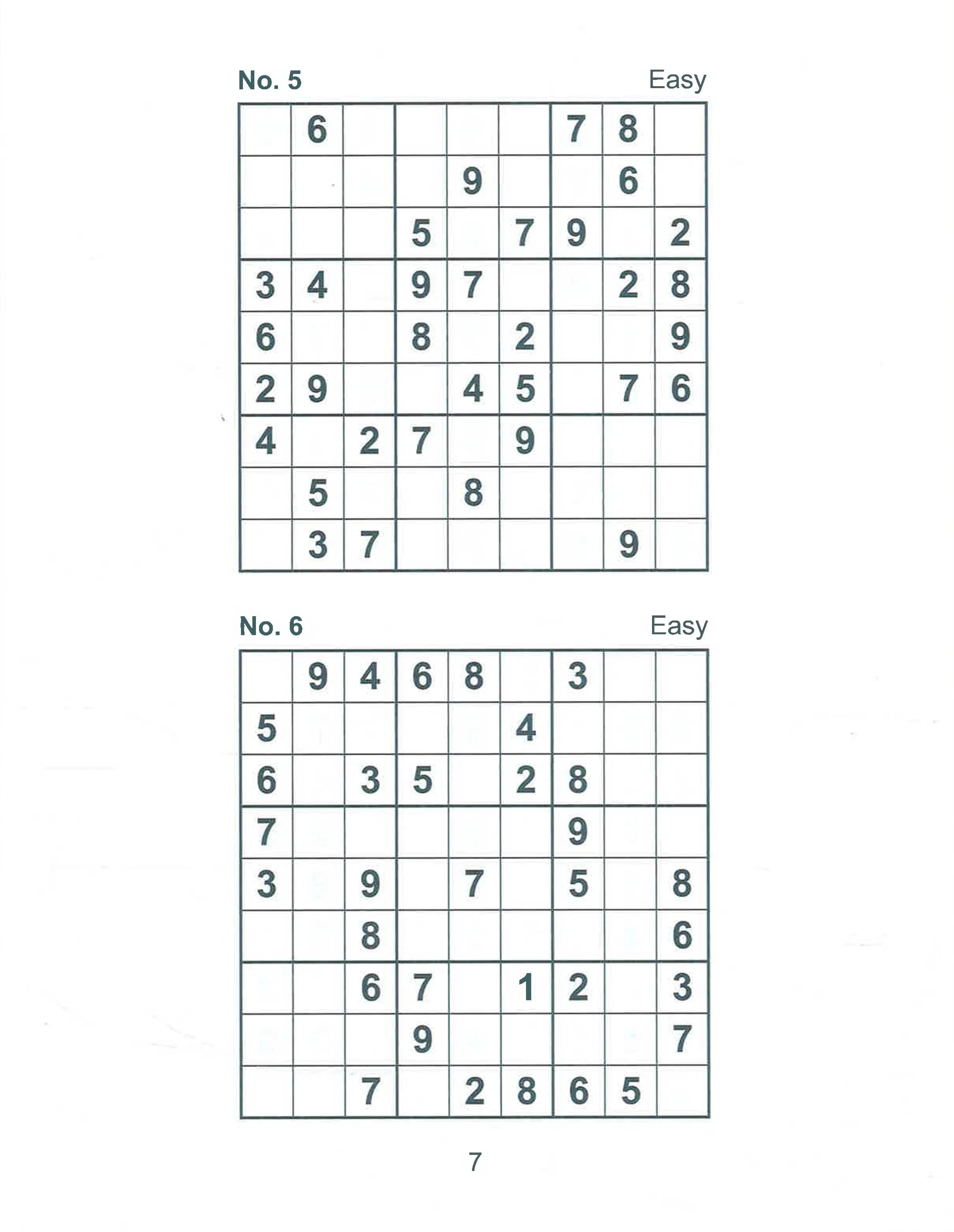 Large Print Sudoku Over 100 Puzzles to Solve