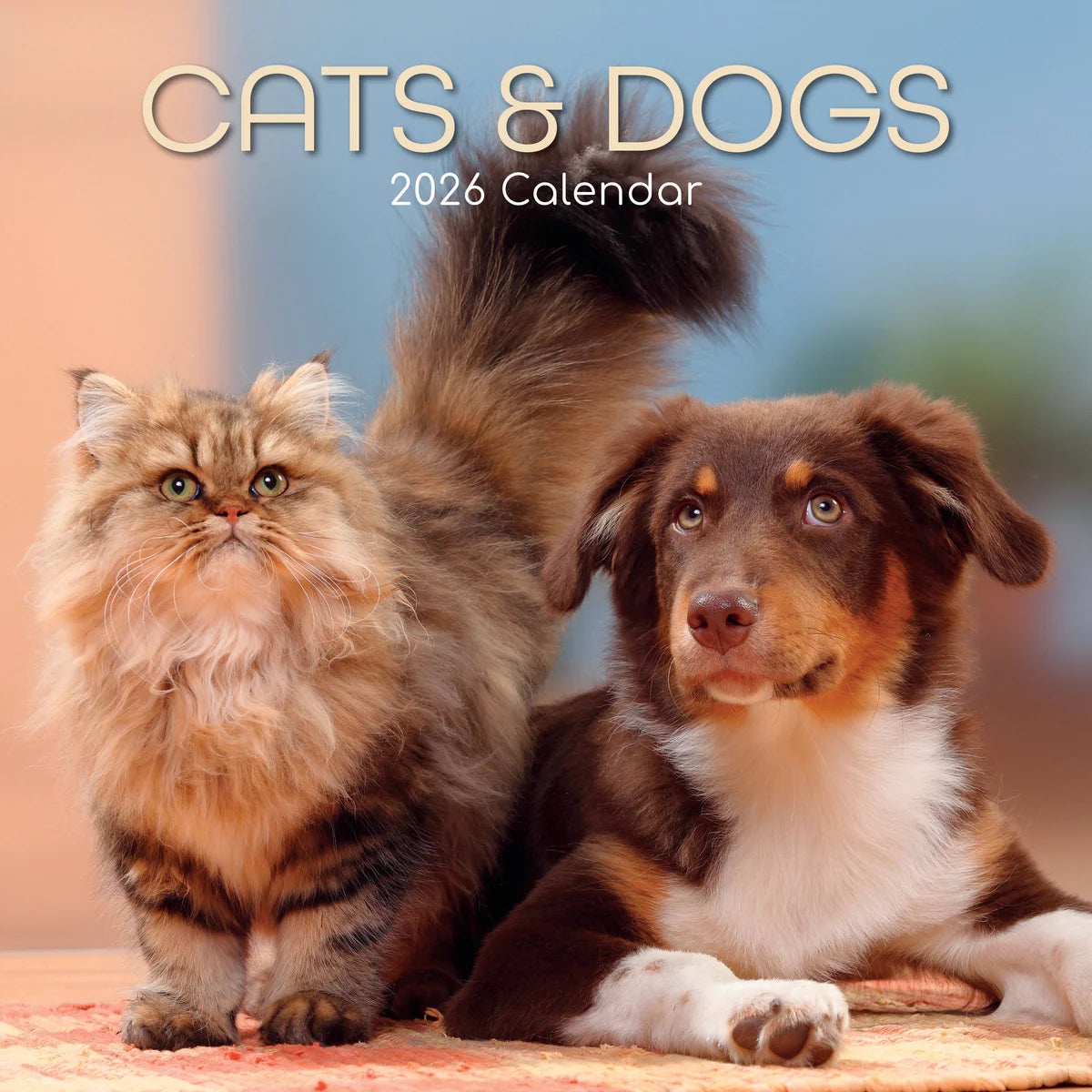 2026 Cats & Dogs Square Wall Calendar | The Gifted Stationery Co. (GSC26061)