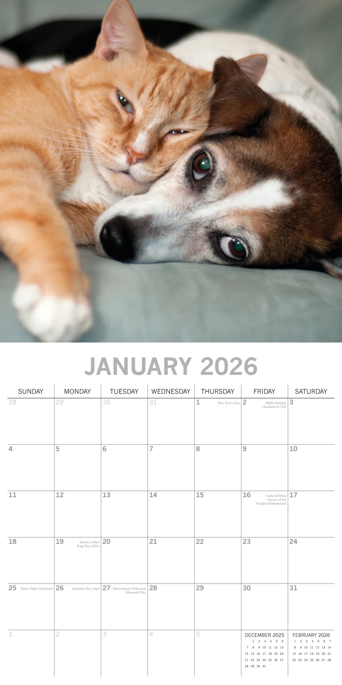 2026 Cats & Dogs Square Wall Calendar | The Gifted Stationery Co. (GSC26061)
