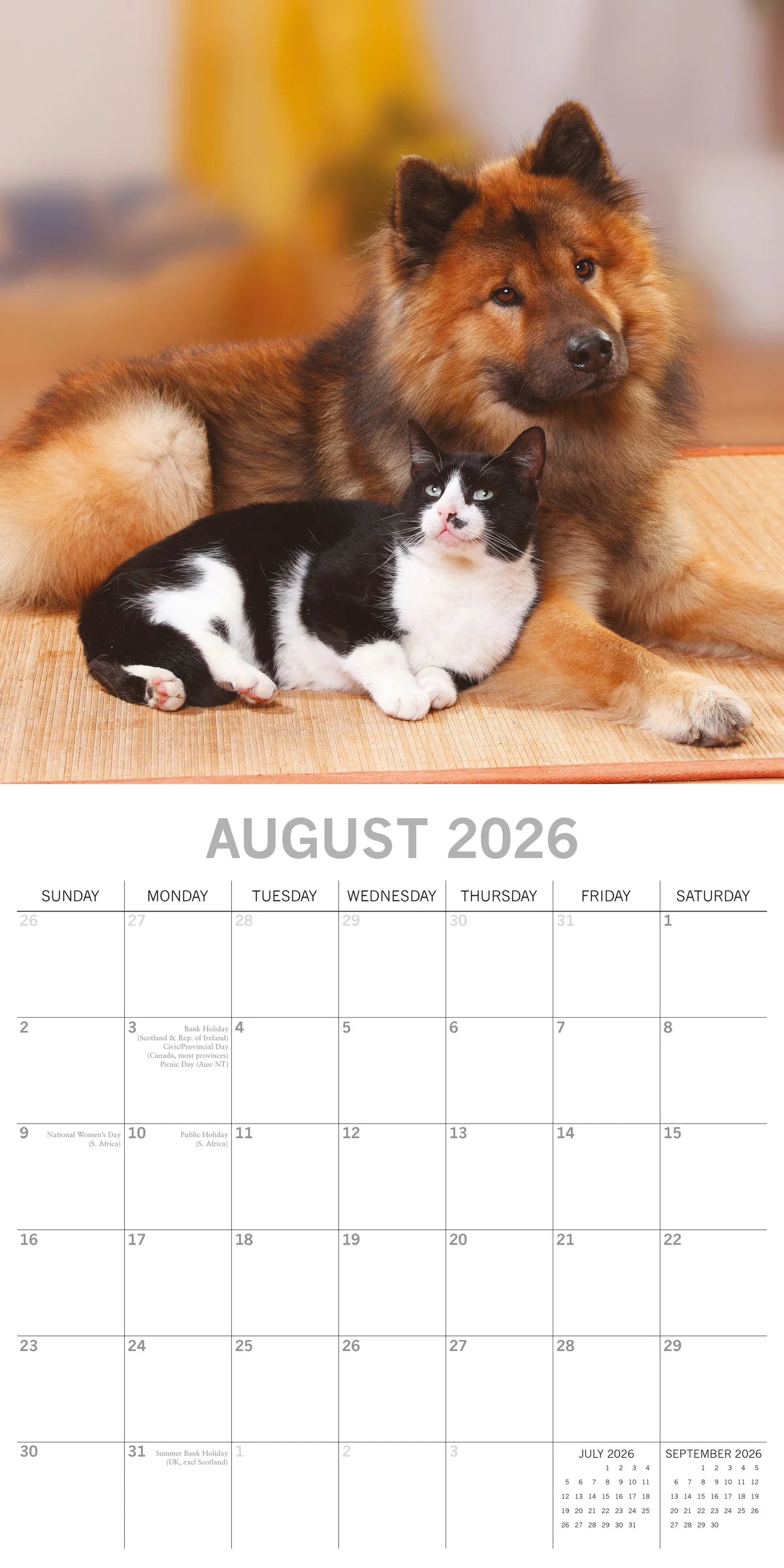 2026 Cats & Dogs Square Wall Calendar | The Gifted Stationery Co. (GSC26061)