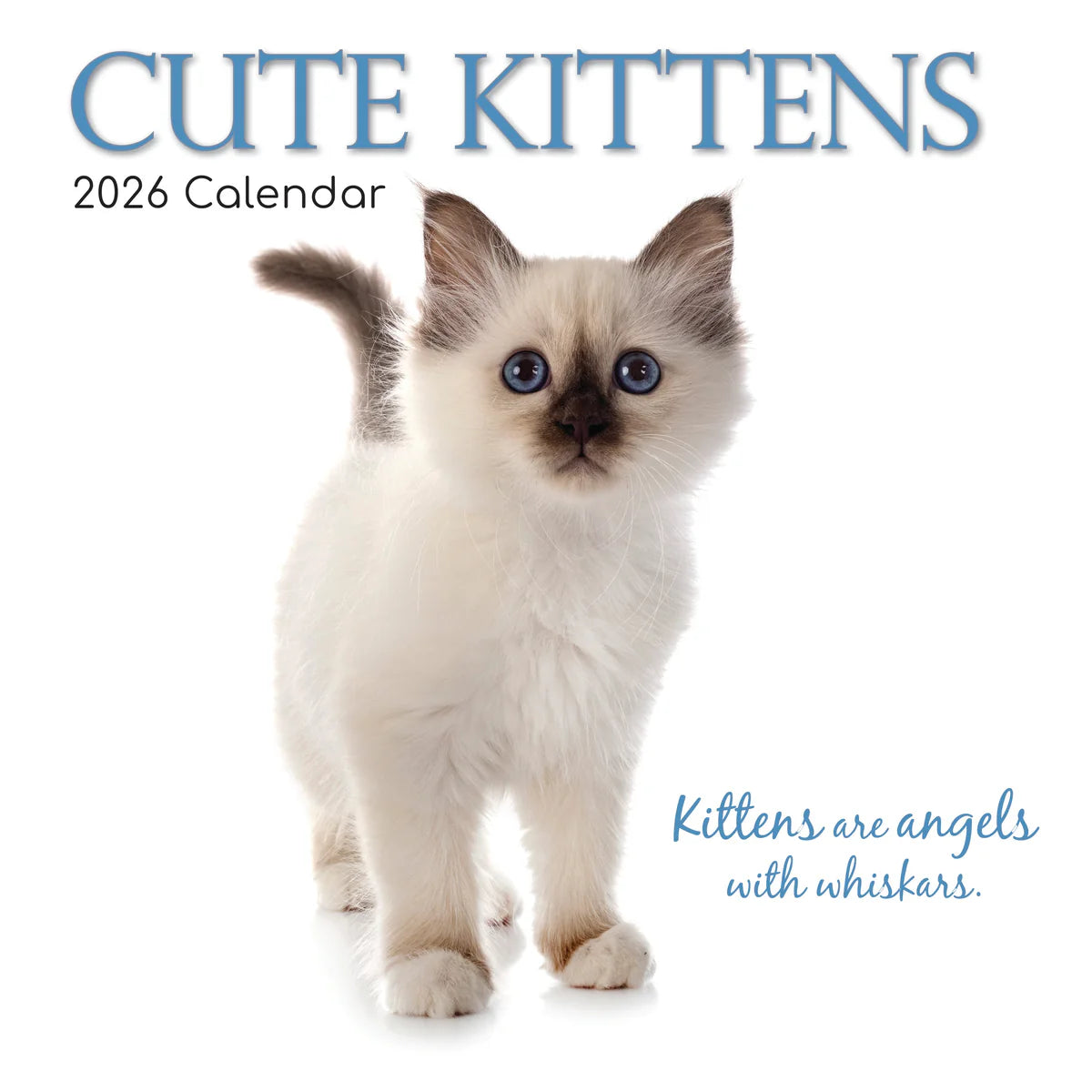 2026 Cute Kittens Square Wall Calendar | The Gifted Stationery Co. (GSC26067)