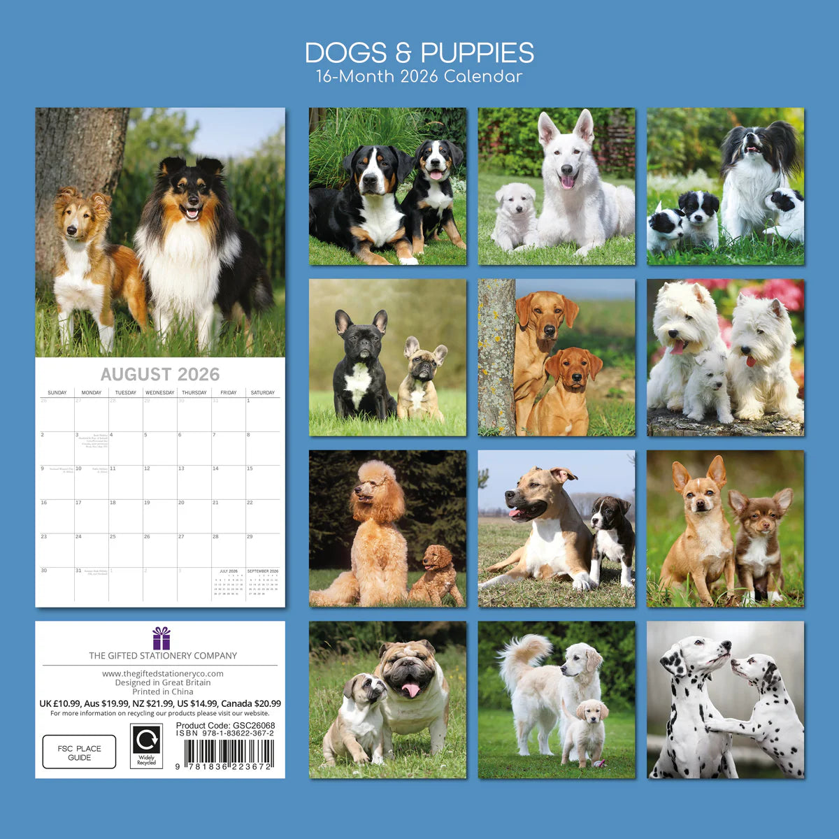 2026 Dogs & Puppies Square Wall Calendar | The Gifted Stationery Co. (GSC26068)