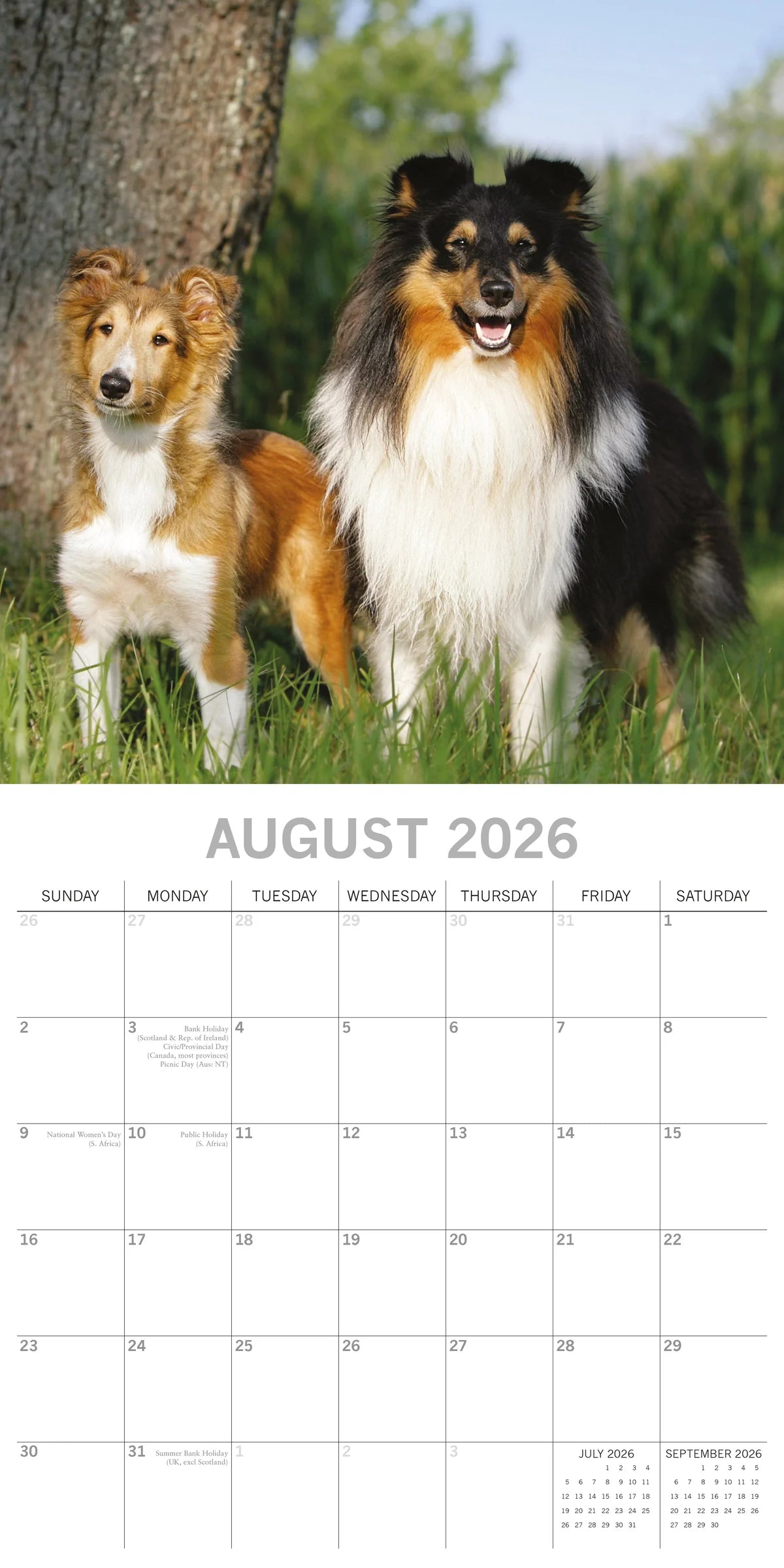 2026 Dogs & Puppies Square Wall Calendar | The Gifted Stationery Co. (GSC26068)
