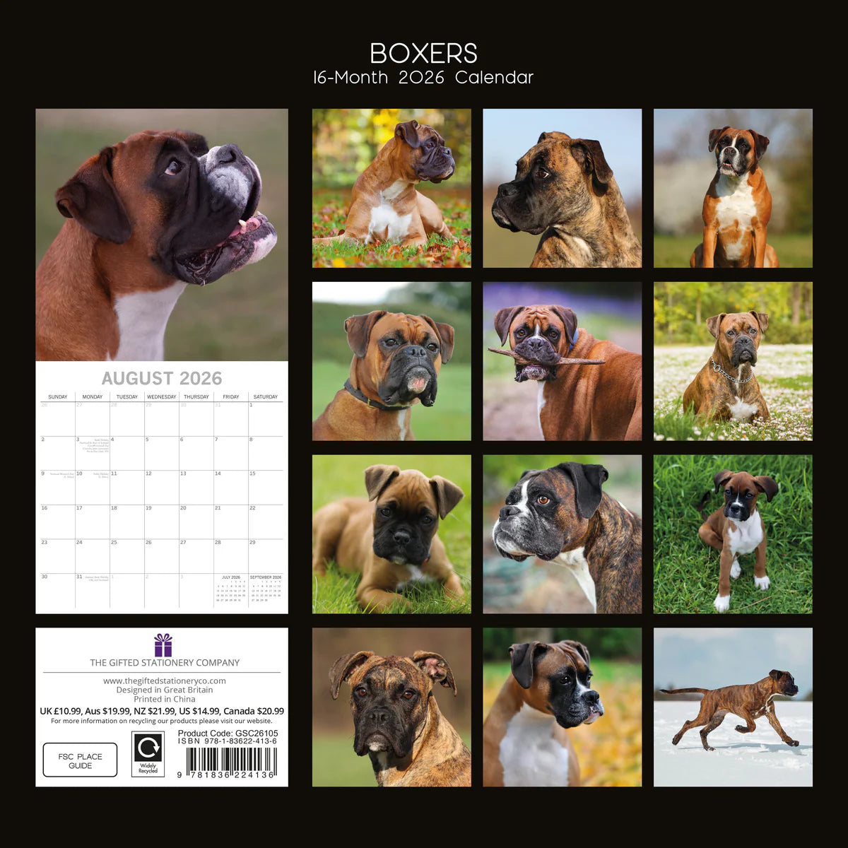 2026 Boxers - Square Wall Calendar | The Gifted Stationery Co. (GSC26105)