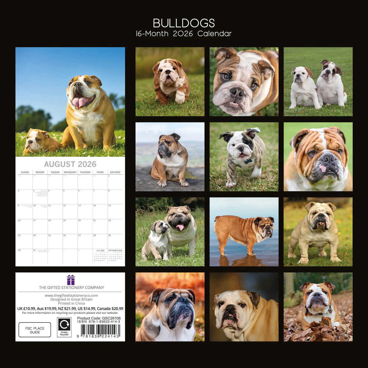 2026 Bulldogs - Square Wall Calendar | The Gifted Stationery Co. (GSC26106)