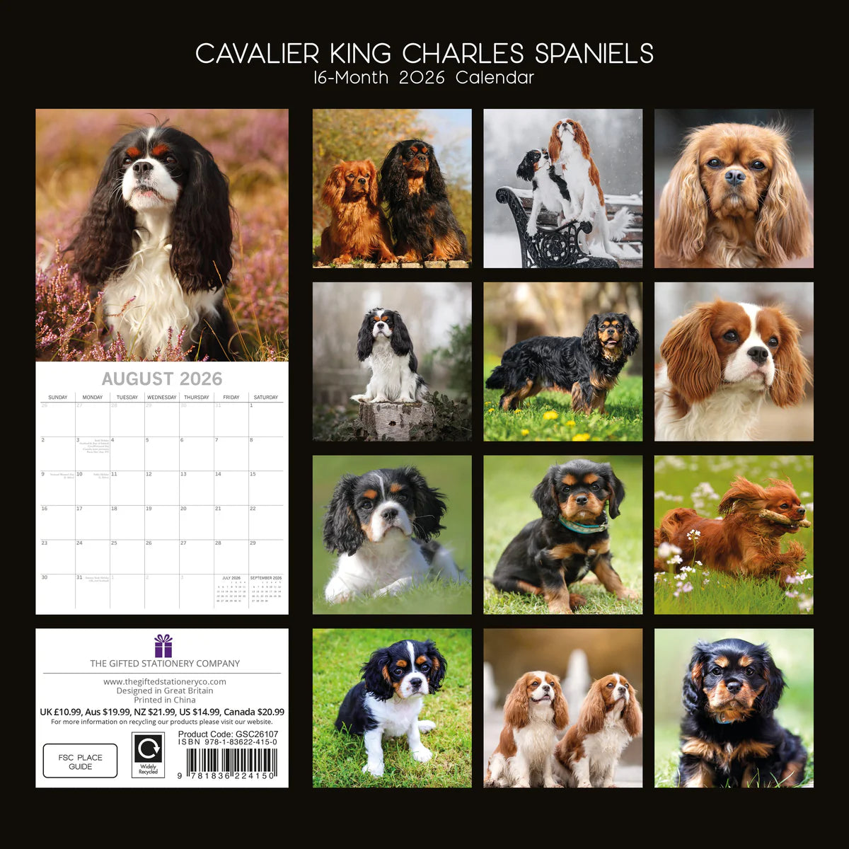 2026 Cavalier King Charles Spaniels - Square Wall Calendar | The Gifted Stationery Co. (GSC26107)