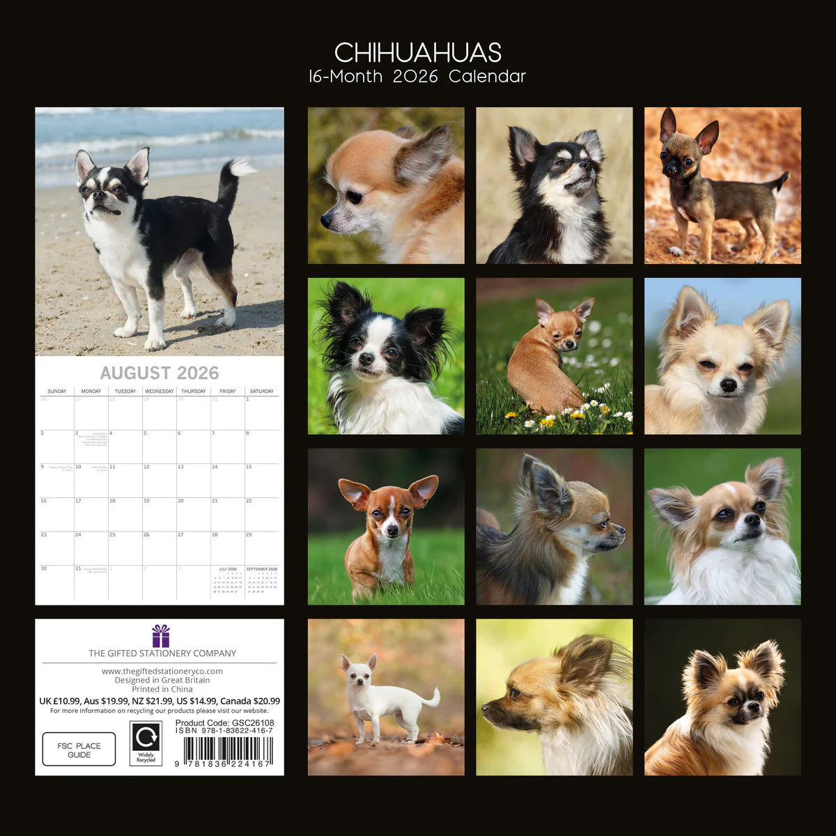 2026 Paw Prints Chihuahuas – Square Wall Calendar| The Gifted Stationery Co. (GSC26108)