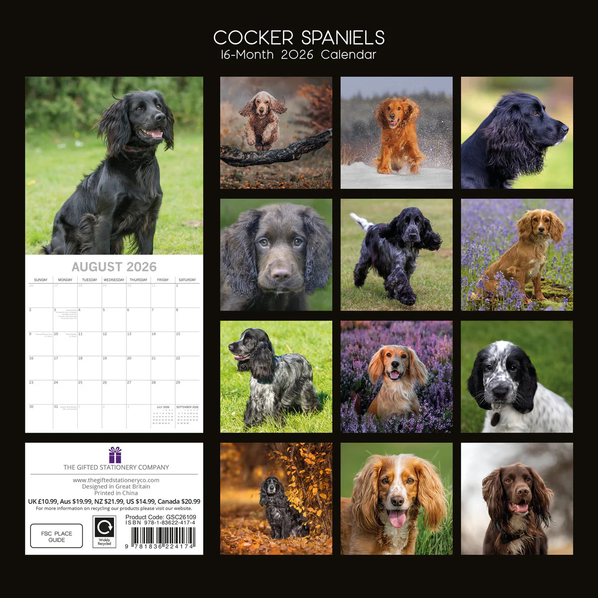 2026 Paw Prints Cocker Spaniels – Square Wall Calendar| The Gifted Stationery Co. (GSC26109)