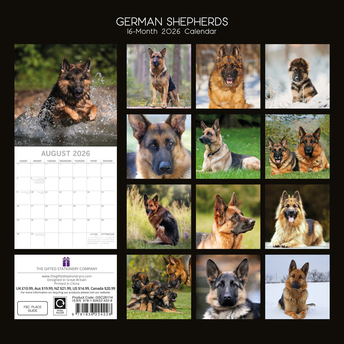 2026 Paw Prints German Shepherds – Square Wall Calendar| The Gifted Stationery Co. (GSC26114)