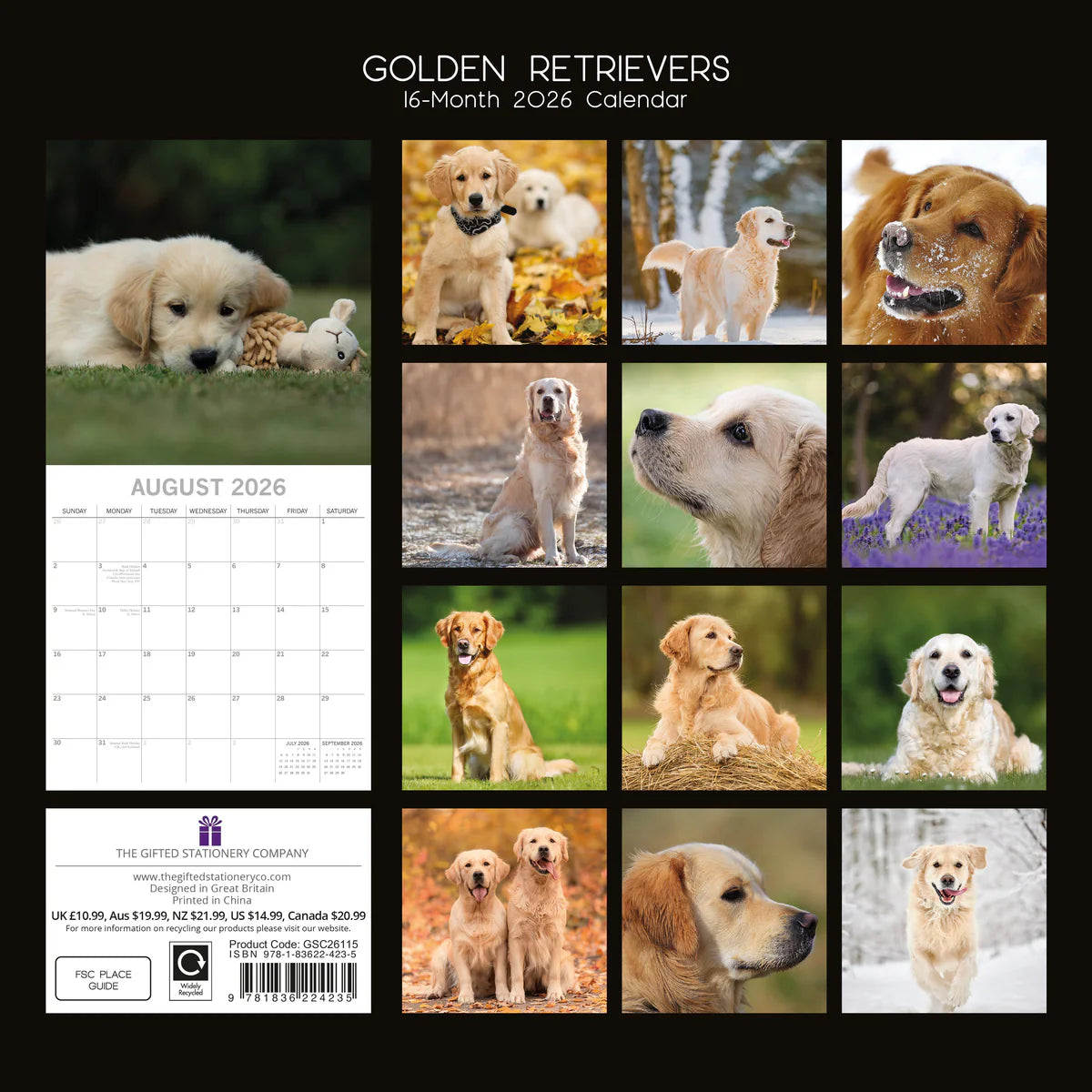 2026 Paw Prints Golden Retrievers – Square Wall Calendar| The Gifted Stationery Co. (GSC26115)