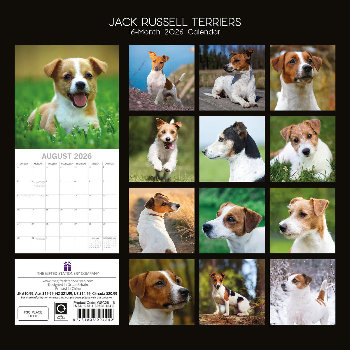 2026 Paw Prints Jack Russell – Square Wall Calendar| The Gifted Stationery Co. (GSC26116)
