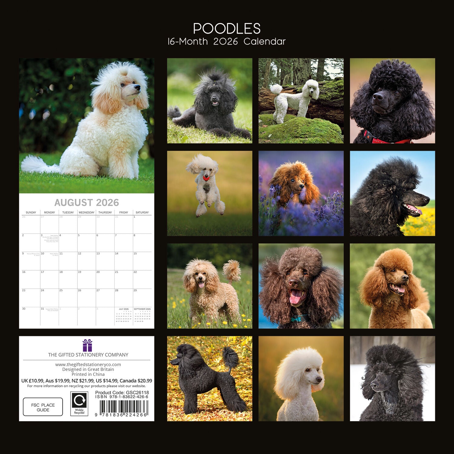 2026 Paw Prints Poodles– Square Wall Calendar| The Gifted Stationery Co. (GSC26118)