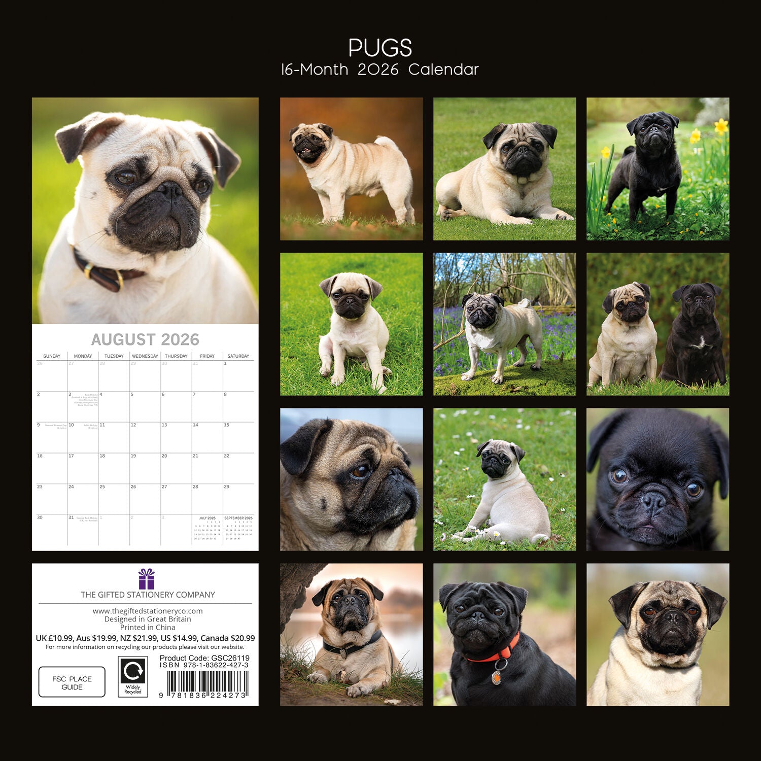 2026 Paw Prints Pugs – Square Wall Calendar| The Gifted Stationery Co. (GSC26119)
