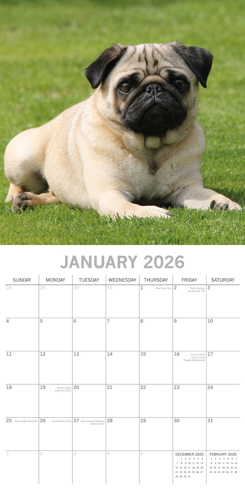 2026 Paw Prints Pugs – Square Wall Calendar| The Gifted Stationery Co. (GSC26119)