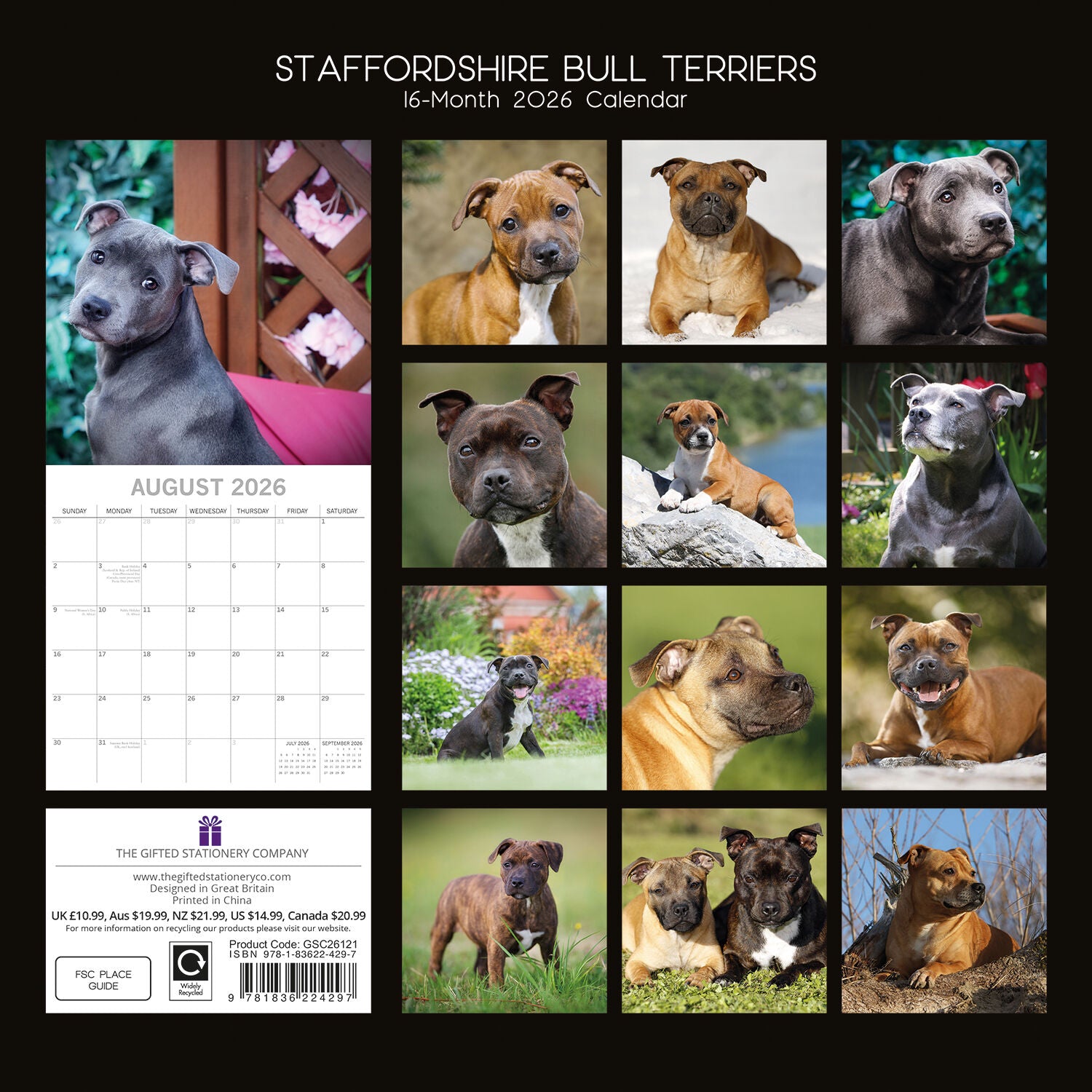 2026 Paw Prints Staffordshire Bull Terriers – Square Wall Calendar| The Gifted Stationery Co. (GSC261121)