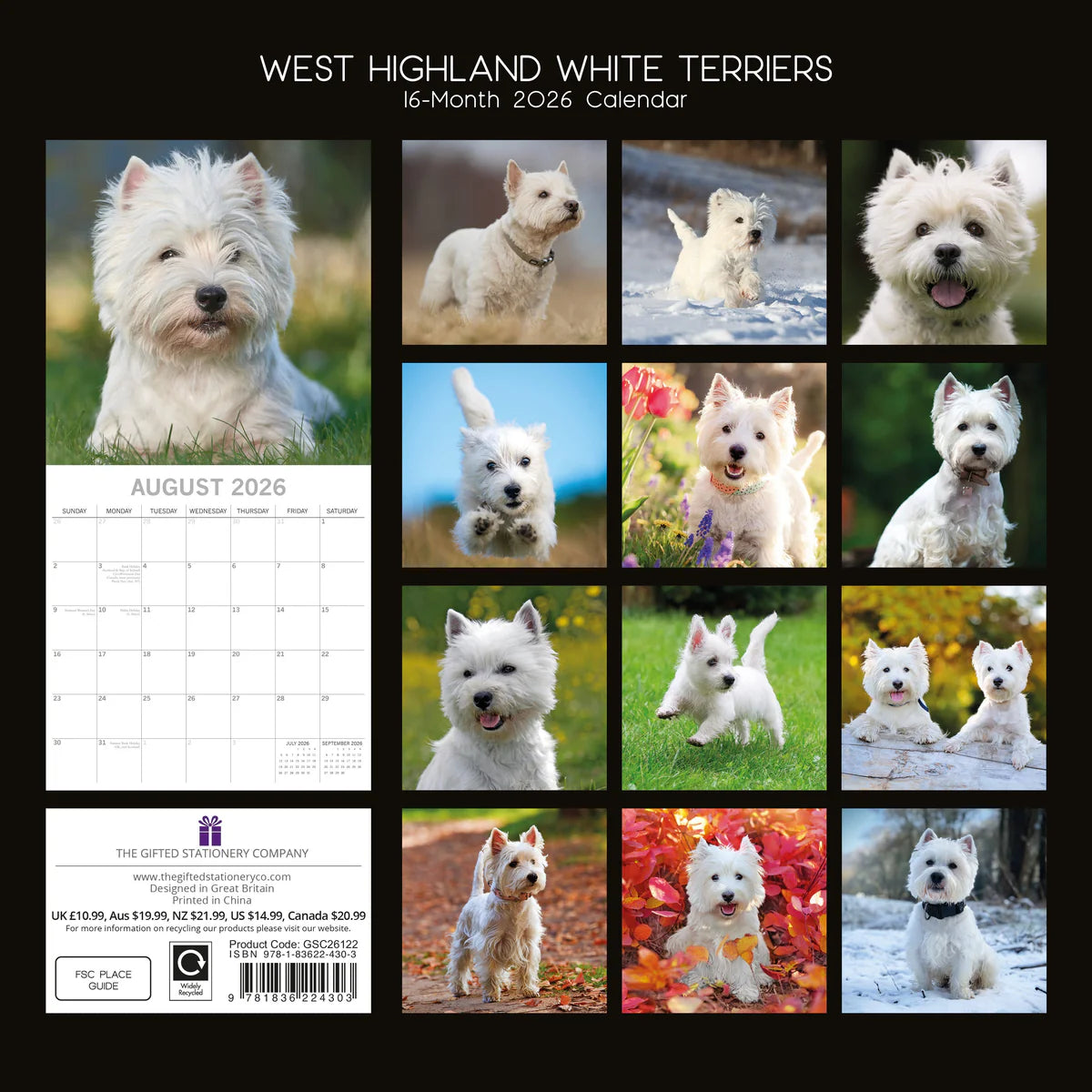 2026 Paw Prints West Highland White Terriers – Square Wall Calendar| The Gifted Stationery Co. (GSC261122)