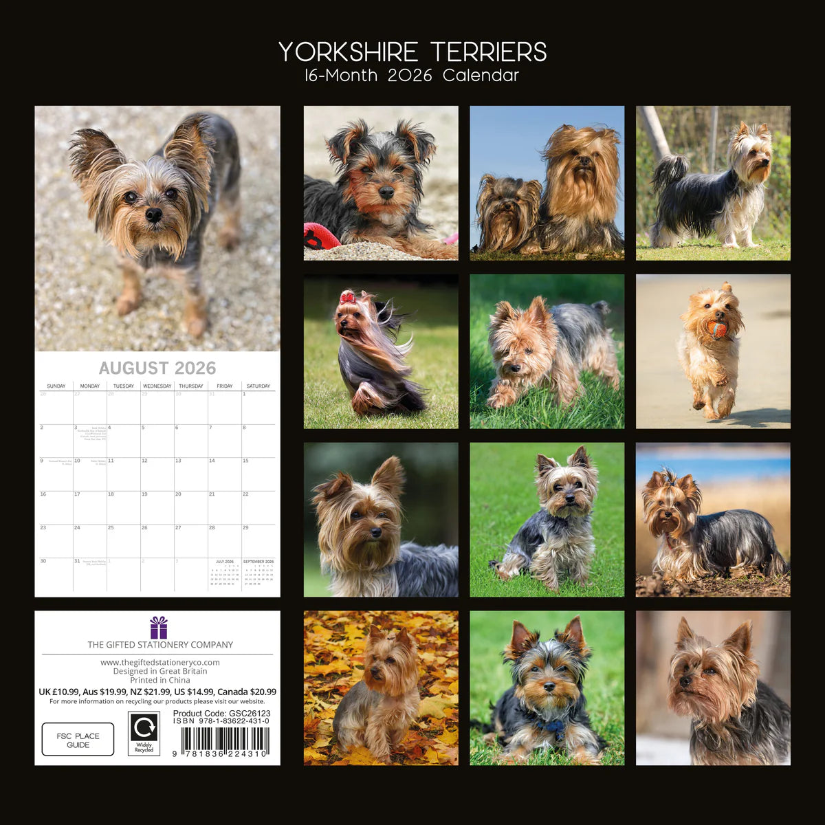 2026 Paw Prints Yorkshire Terriers – Square Wall Calendar| The Gifted Stationery Co. (GSC261123)