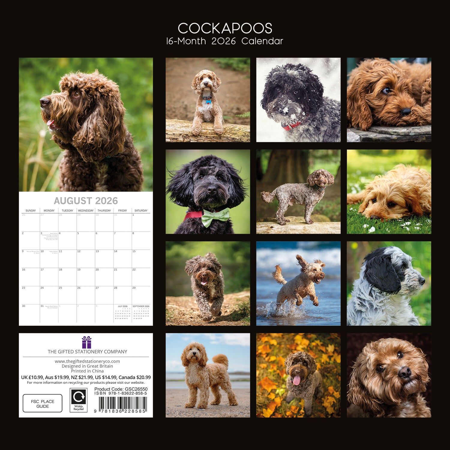 2026 Paw Prints Cockapoos – Square Wall Calendar| The Gifted Stationery Co. (GSC26550)