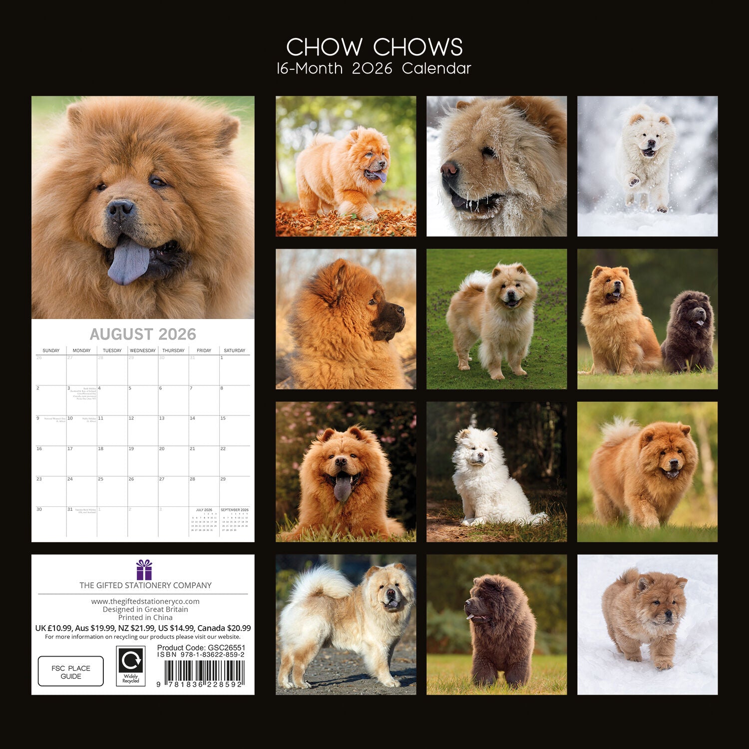 2026 Paw Prints Chow Chow – Square Wall Calendar| The Gifted Stationery Co. (GSC26551)