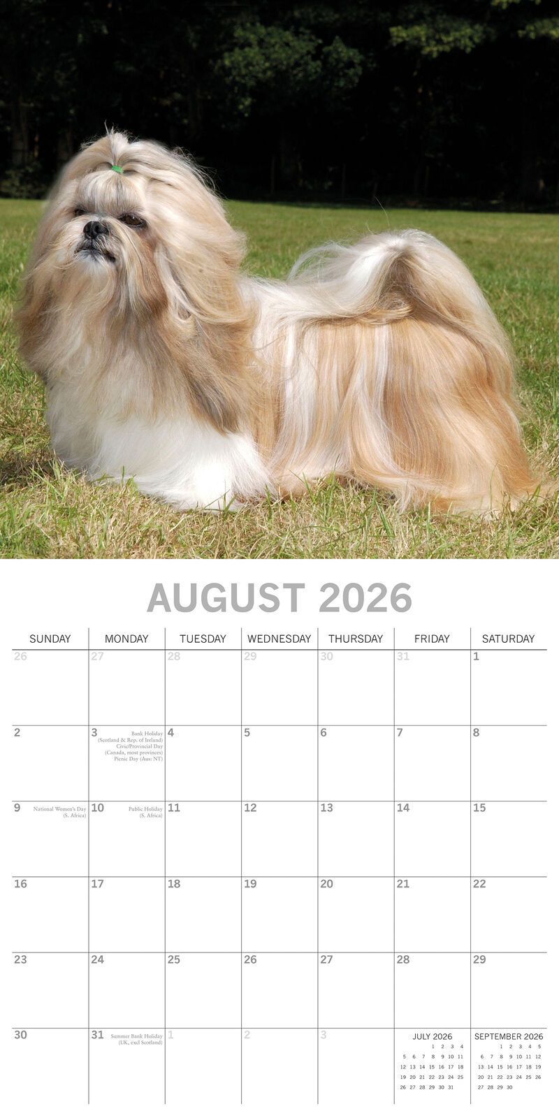 2026 Paw Prints Shih Tzu – Square Wall Calendar| The Gifted Stationery Co. (GSC26553)