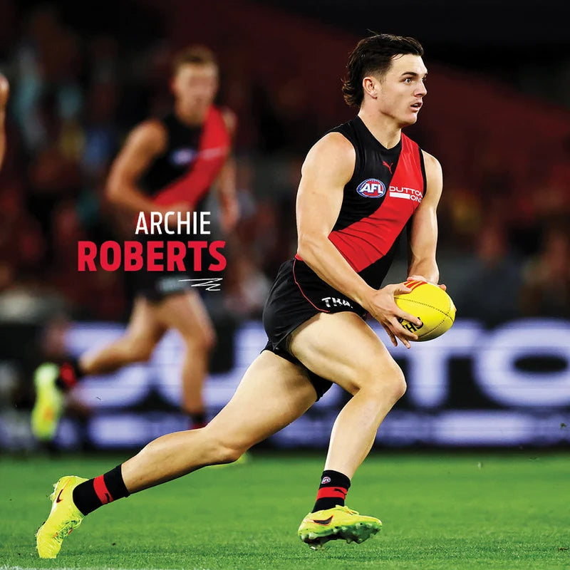 Essendon Bombers 2027 calendar sample view