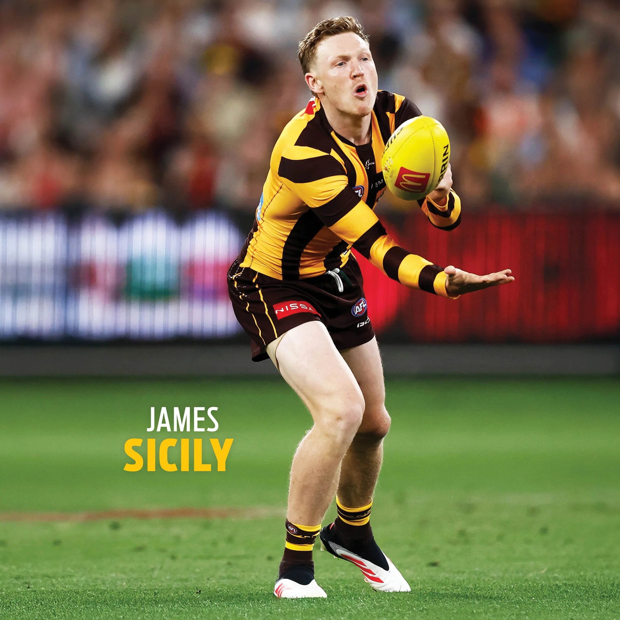 Paper Pocket AFL Hawthorn Hawks 2026 Calendar