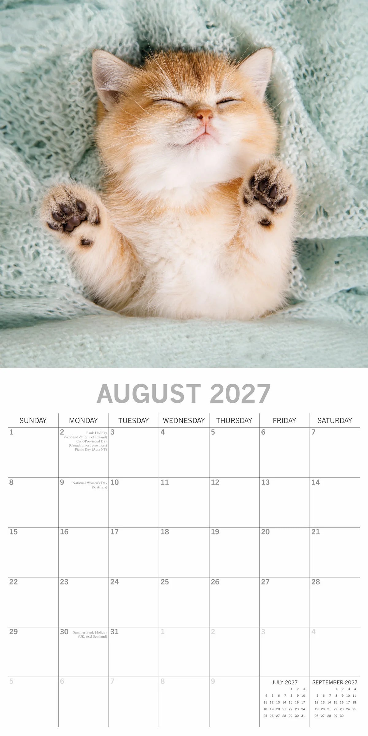 Cat Naps 2027 Square Wall Calendar – August 2027 page featuring a golden kitten stretching with paws up in a teal blanket