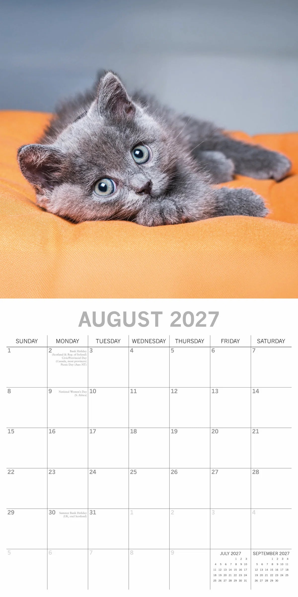 Cute Kittens 2027 Calendar - August 2027 page with fluffy grey British Shorthair kitten lying on orange cushion looking at camera