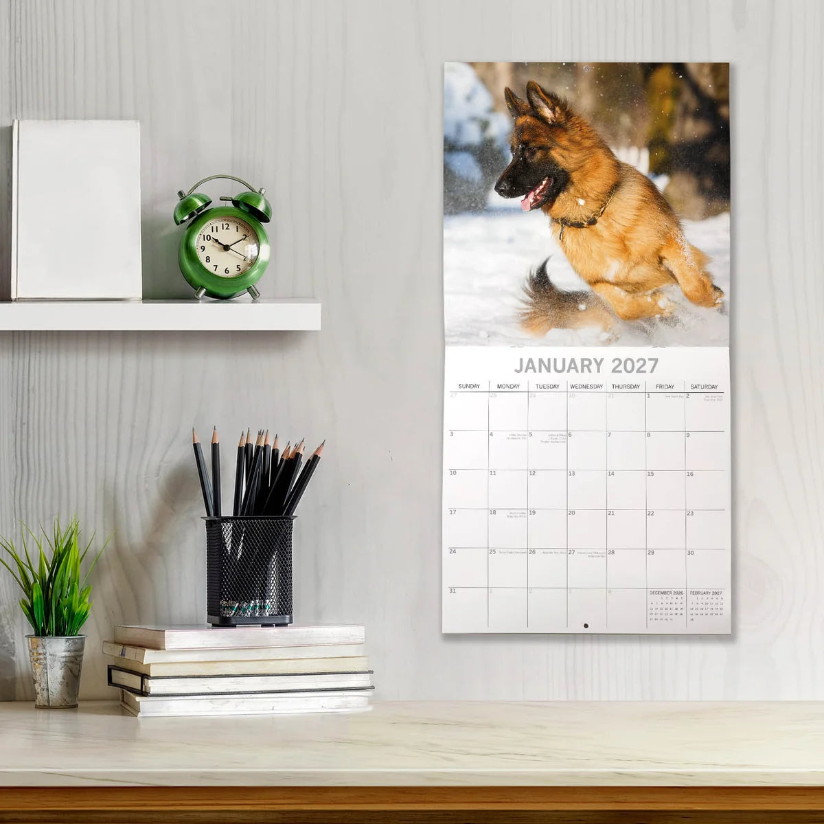 2027 Square Wall Calendar – German Shepherds 2027 Calendar 305x305mm