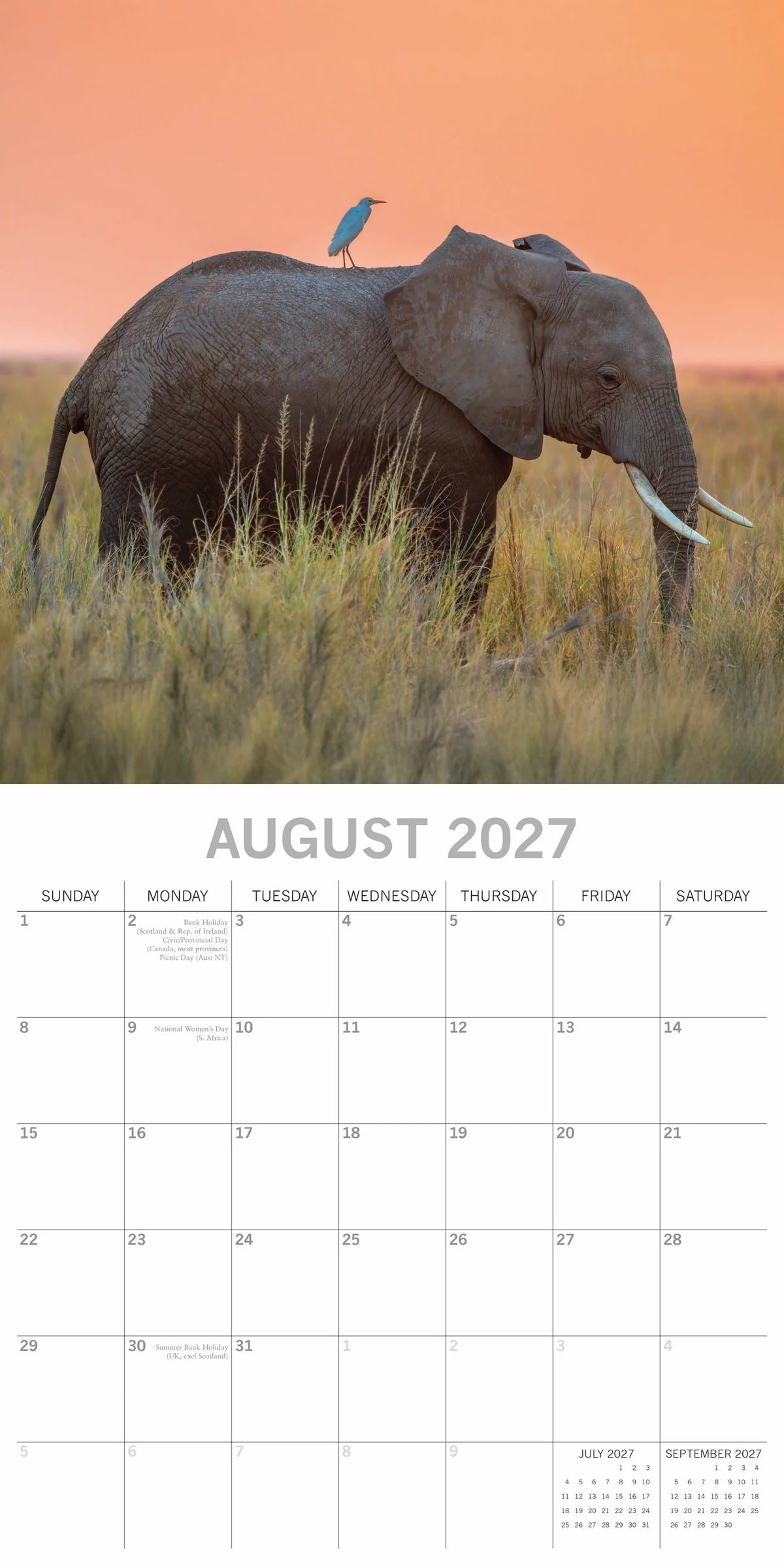 Elephants 2027 16-Month Wall Calendar