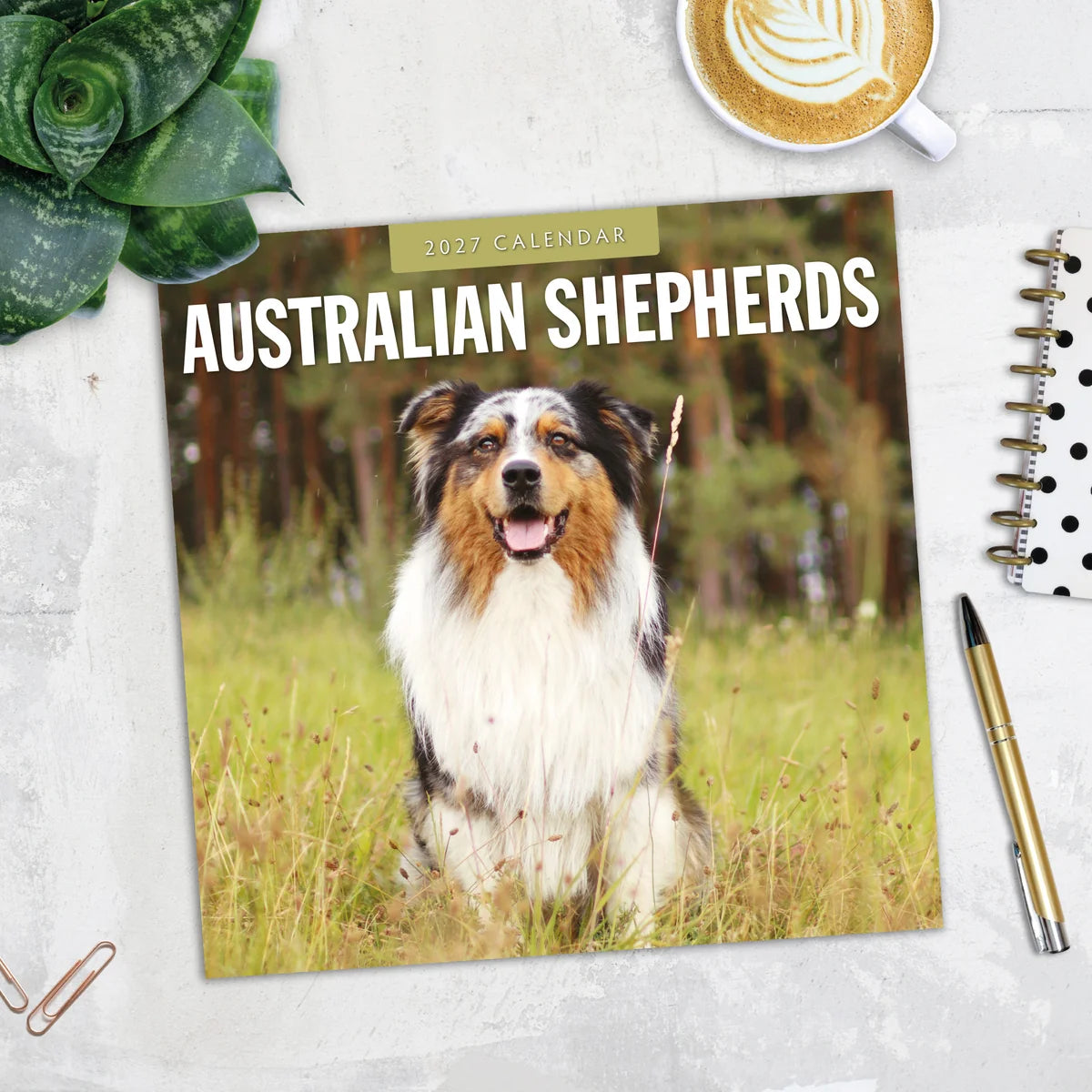Australian Shepherds 2027 Square Wall Calendar - Lifestyle flat lay with coffee and stationery