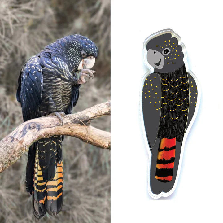 Black Cockatoo Pin by Smyle Designs