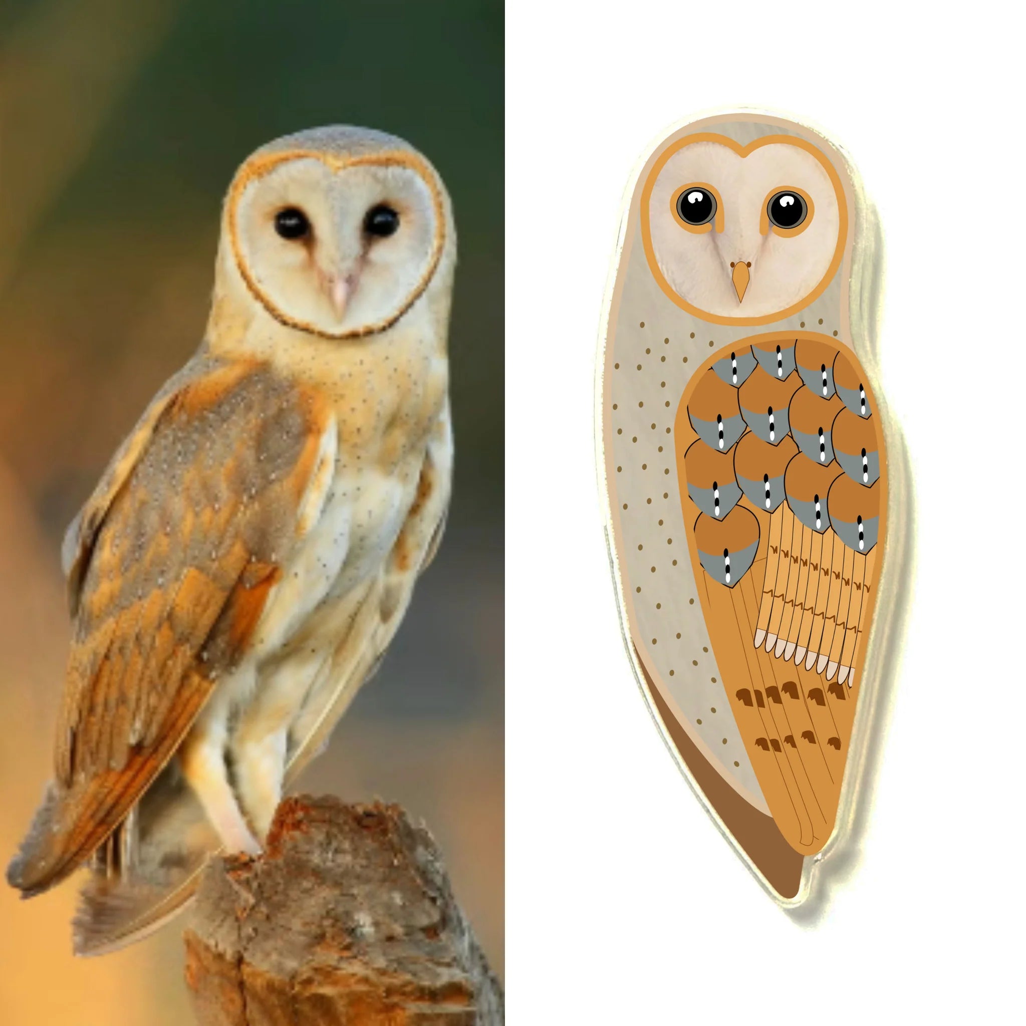 Eastern Barn Owl Pin By Smyle Designs
