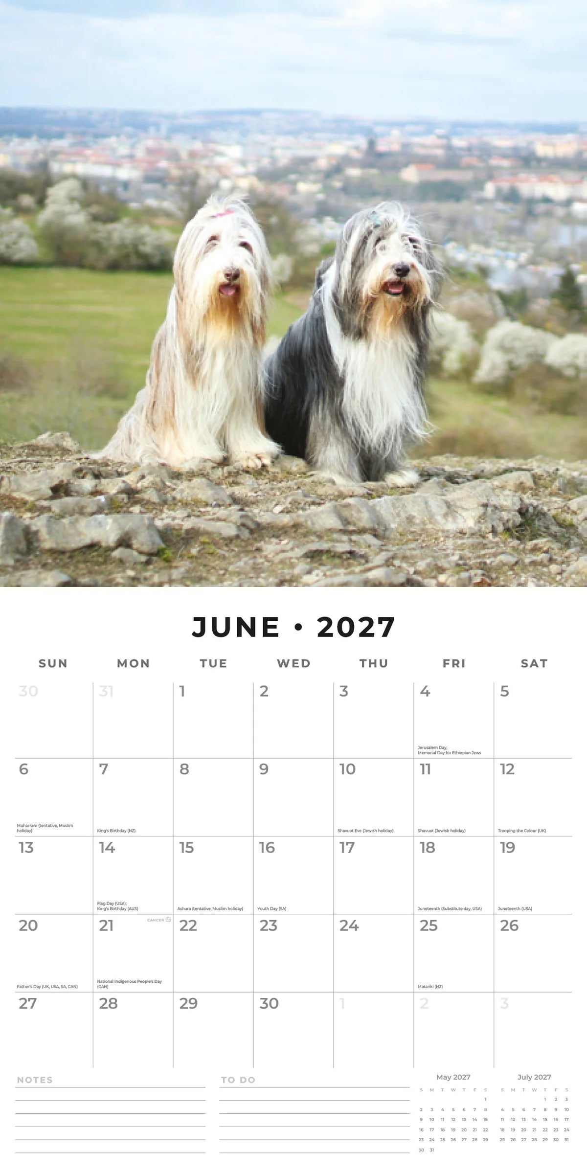 Bearded Collies 2027 Calendar - June 2027 monthly spread featuring two Bearded Collies on a hilltop overlooking a town