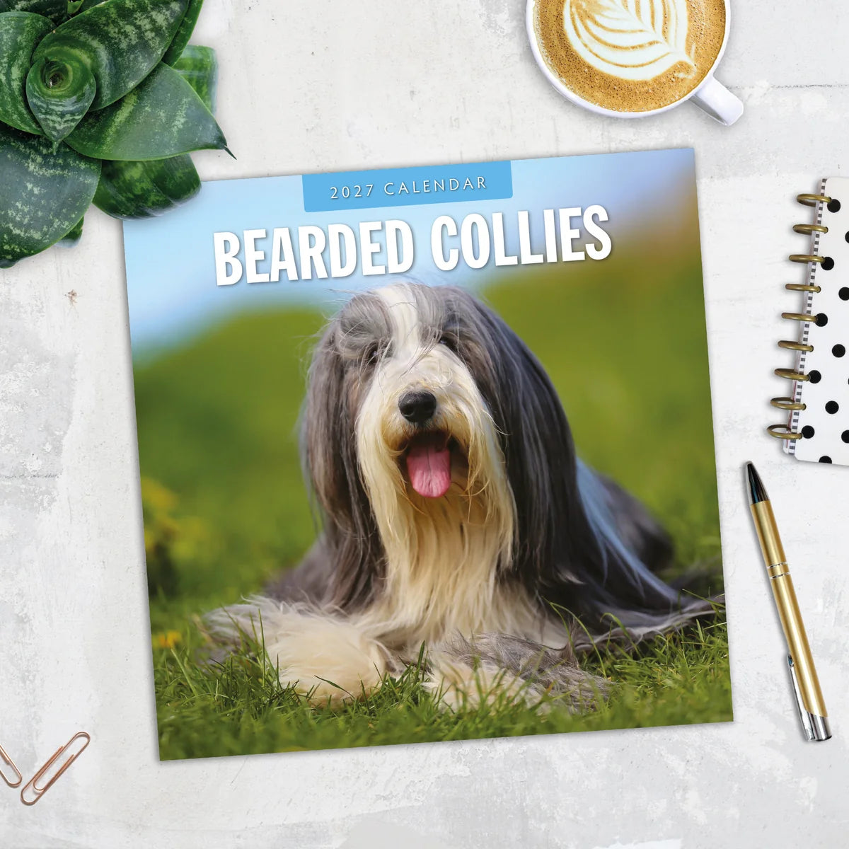 Bearded Collies 2027 Square Wall Calendar - Lifestyle flat lay with coffee, succulent and stationery