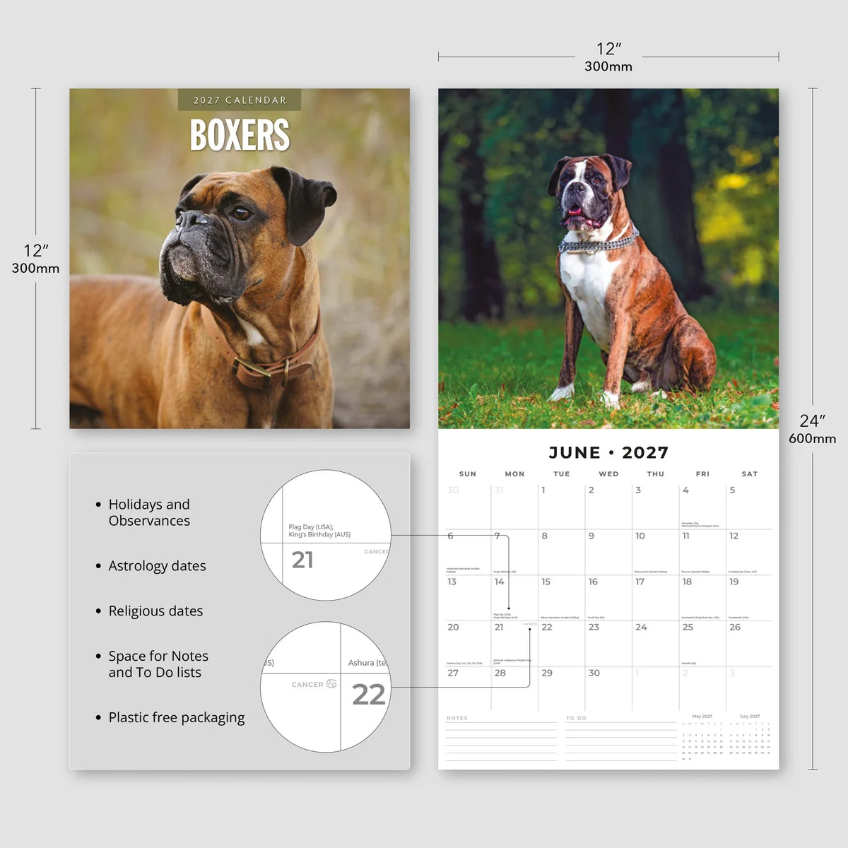 Boxers 2027 Calendar - Size specifications showing 30x30cm closed and 30x60cm open with feature highlights