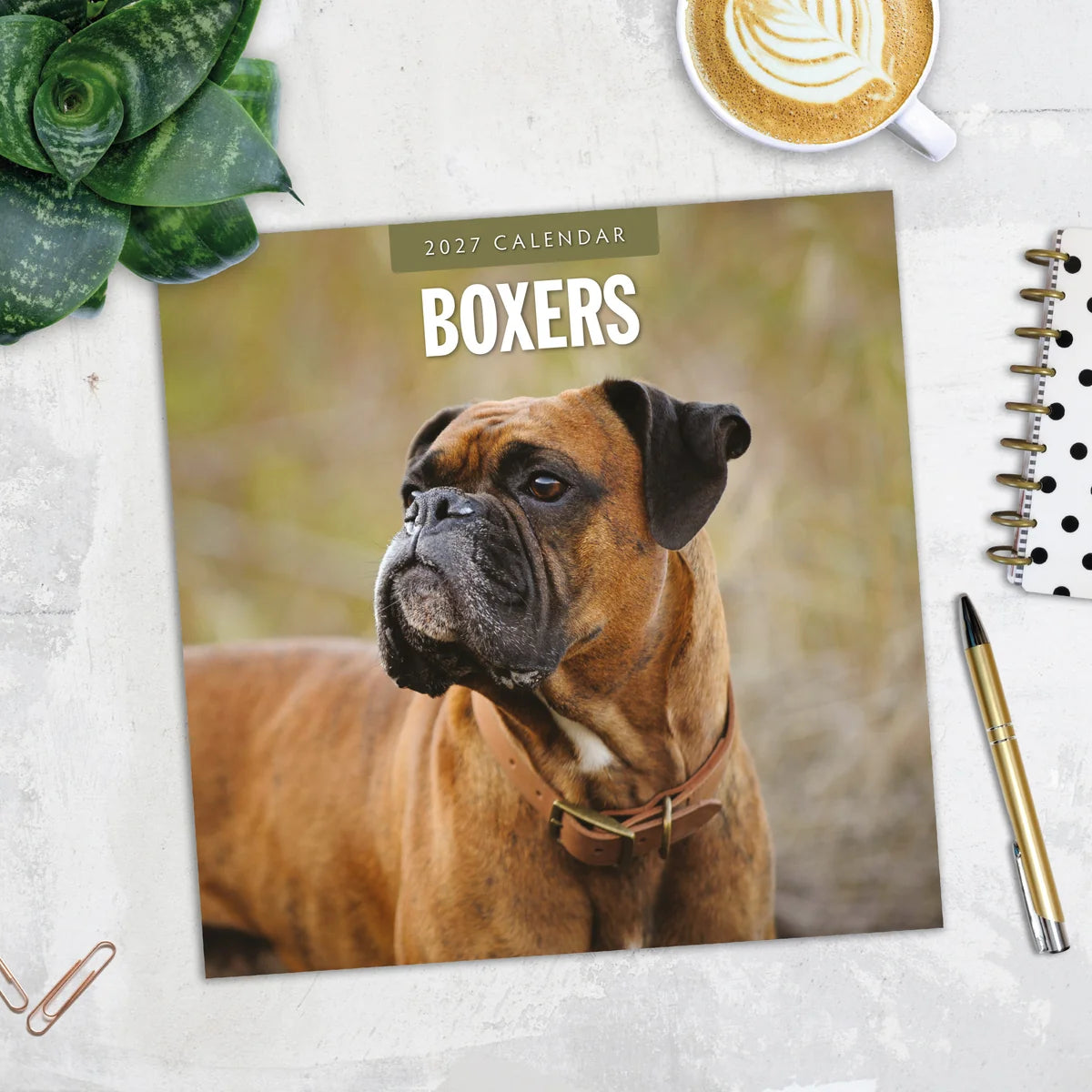 Boxers 2027 Square Wall Calendar - Lifestyle flat lay with coffee, succulent and stationery