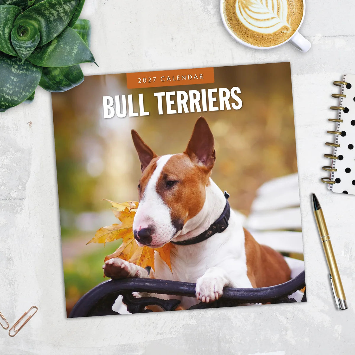 Bull Terriers 2027 Square Wall Calendar - Lifestyle flat lay with coffee, succulent and stationery on marble surface