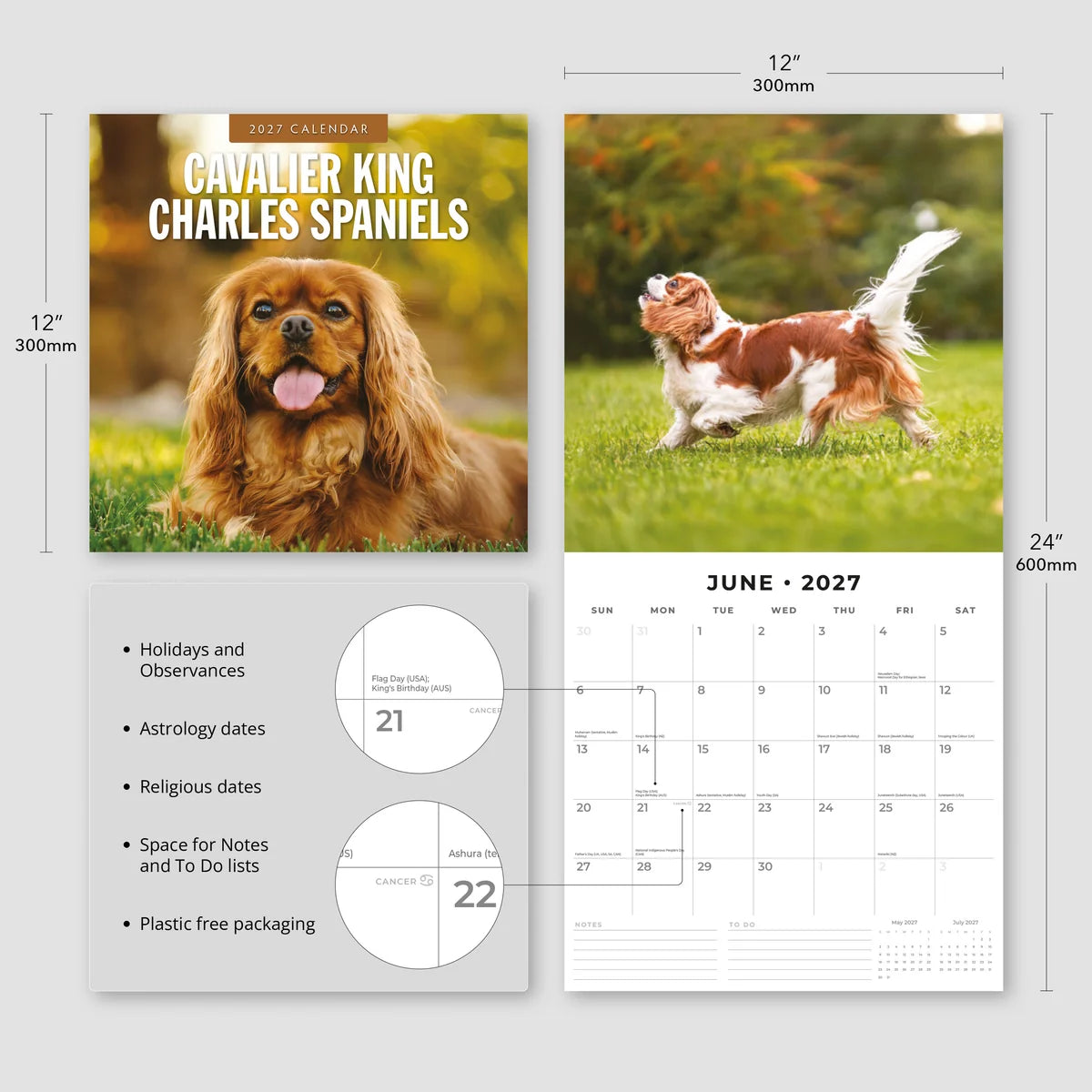 Cavalier King Charles Spaniels 2027 Calendar - Size specifications showing 30x30cm closed and 30x60cm open with feature highlights