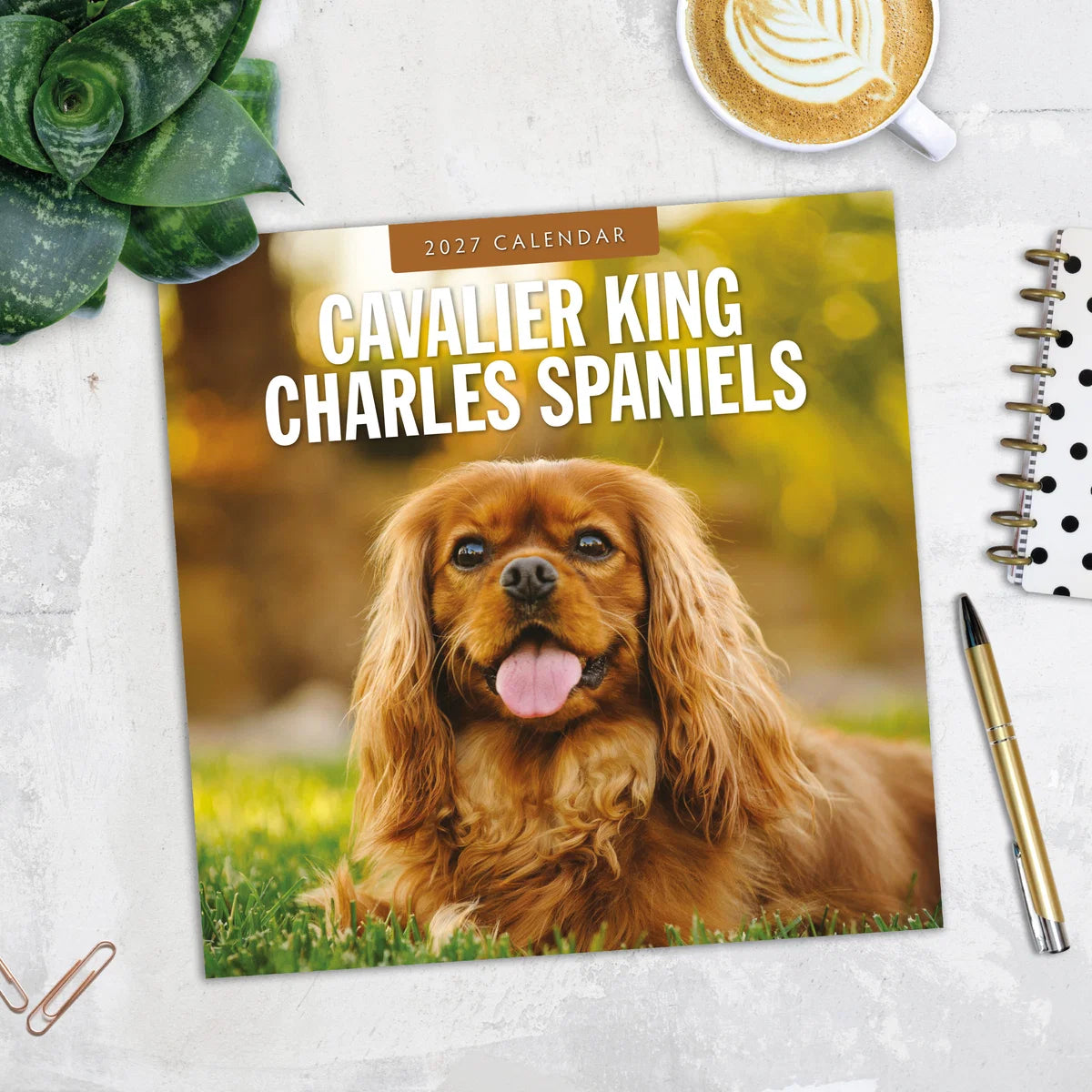 Cavalier King Charles Spaniels 2027 Square Wall Calendar - Lifestyle flat lay with coffee, succulent and stationery
