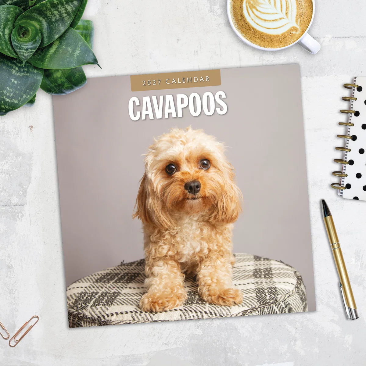 Cavapoos 2027 Square Wall Calendar - Lifestyle flat lay with coffee, succulent and stationery on marble surface
