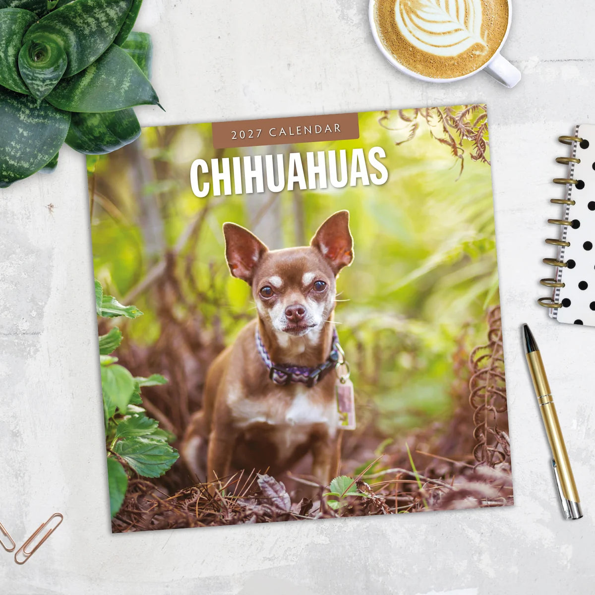 Chihuahuas 2027 Square Wall Calendar - Lifestyle flat lay with coffee, succulent and stationery on marble surface