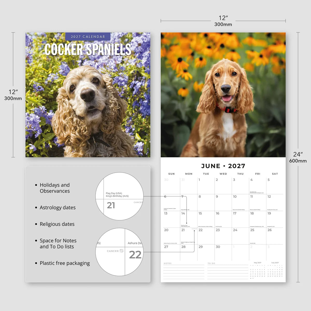 Cocker Spaniels 2027 Calendar - Size specifications showing 30x30cm closed and 30x60cm open with feature highlights