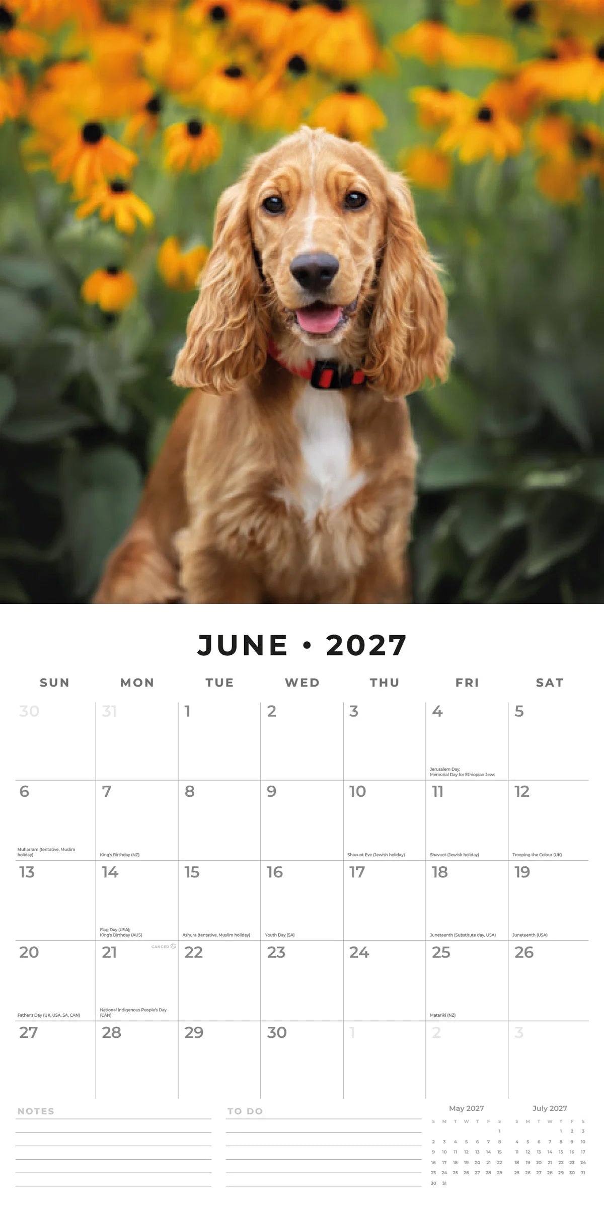 Cocker Spaniels 2027 Calendar - June 2027 monthly spread featuring a golden Cocker Spaniel sitting among yellow black-eyed Susan flowers