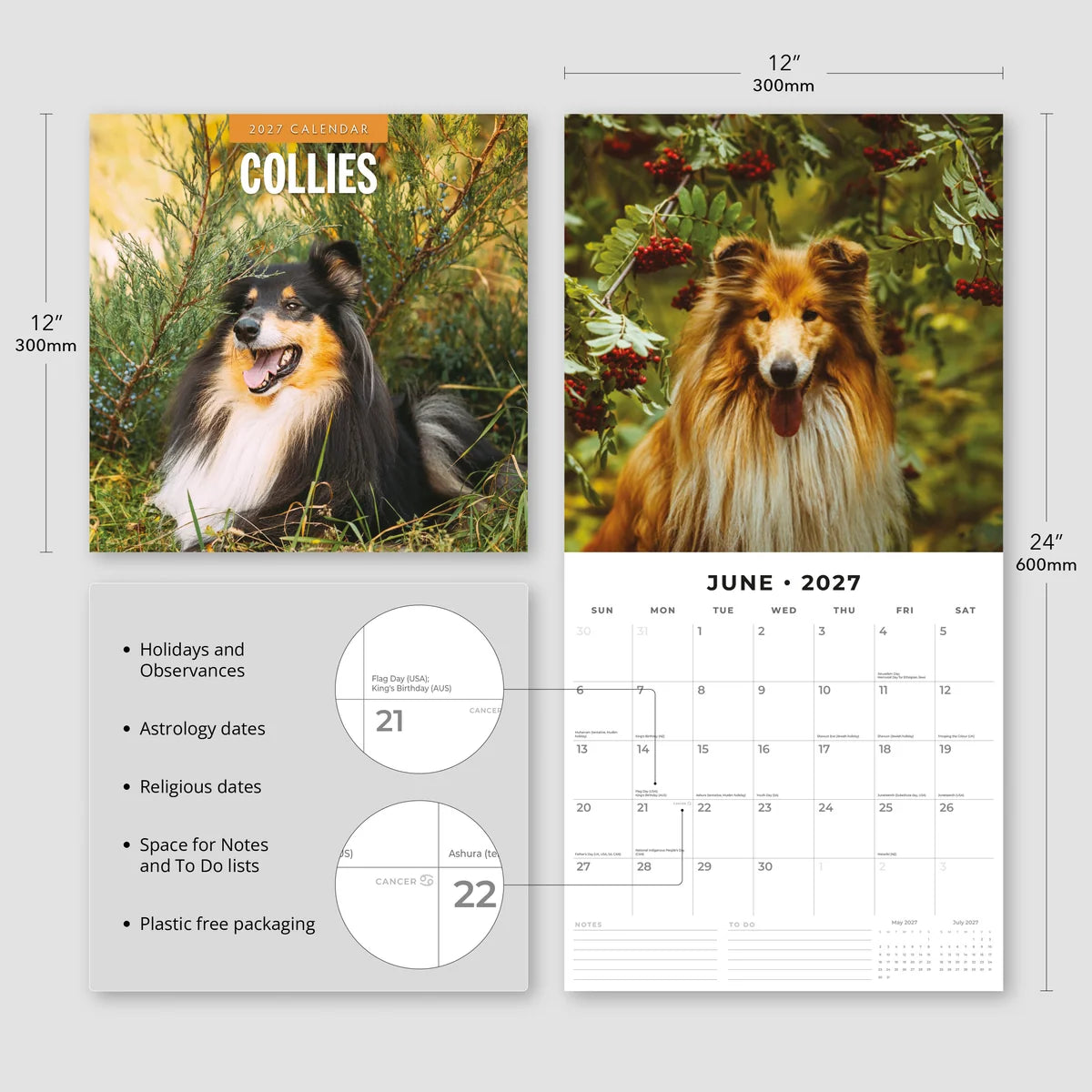 Collies 2027 Calendar - Size specifications showing 30x30cm closed and 30x60cm open with feature highlights