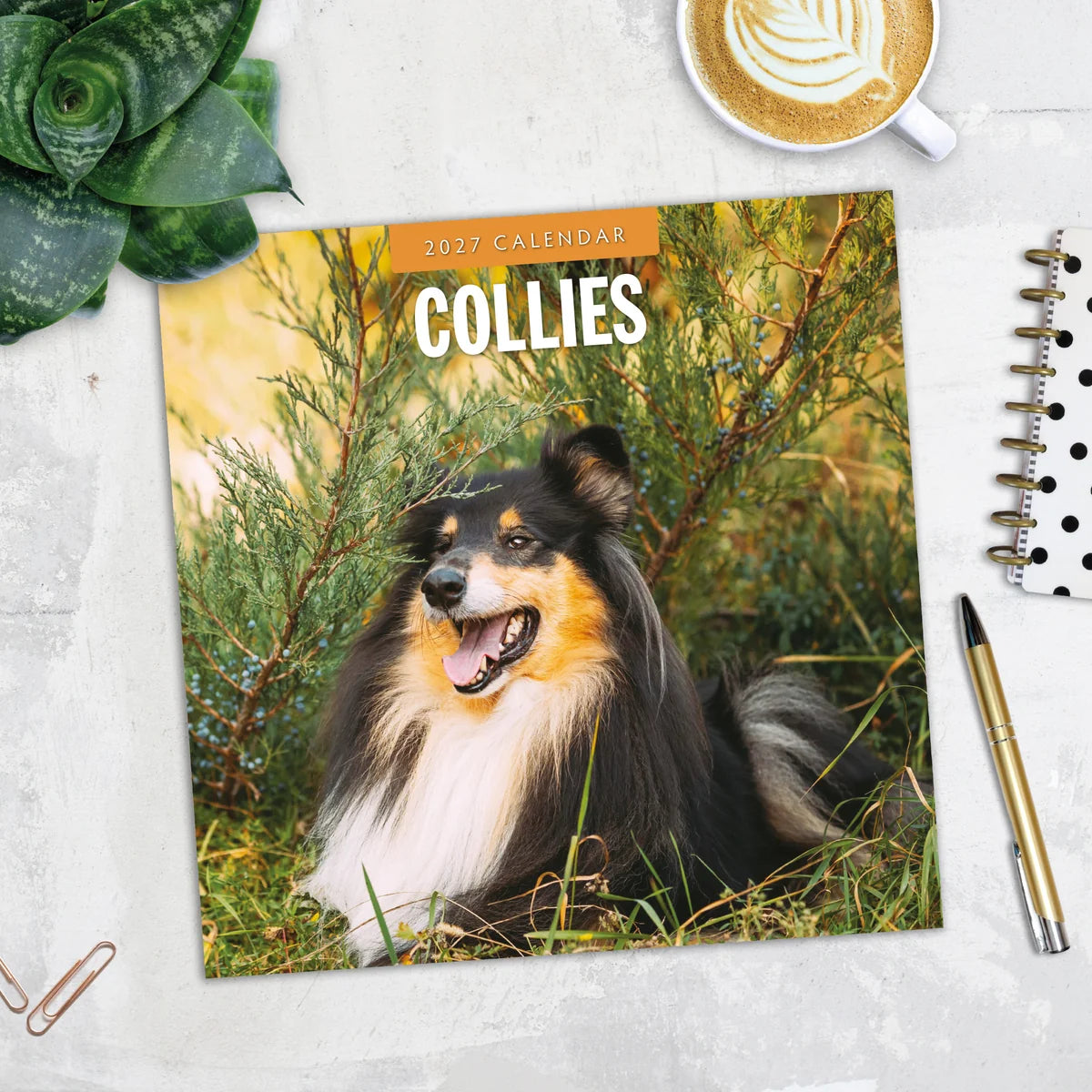 Collies 2027 Square Wall Calendar - Lifestyle flat lay with coffee, succulent and stationery on marble surface